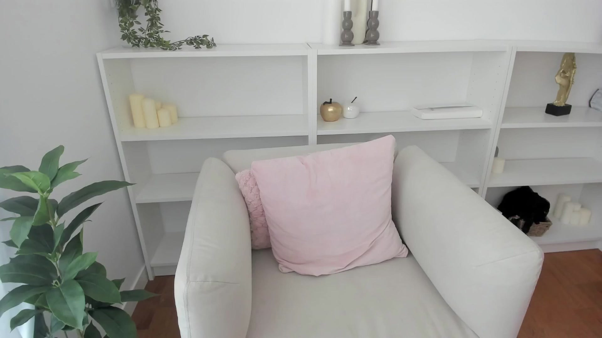 Gallery image thumbnail from Evelyne_fox's myfreecams stream on, 07/02/2025, 10:15 image 18 of 20