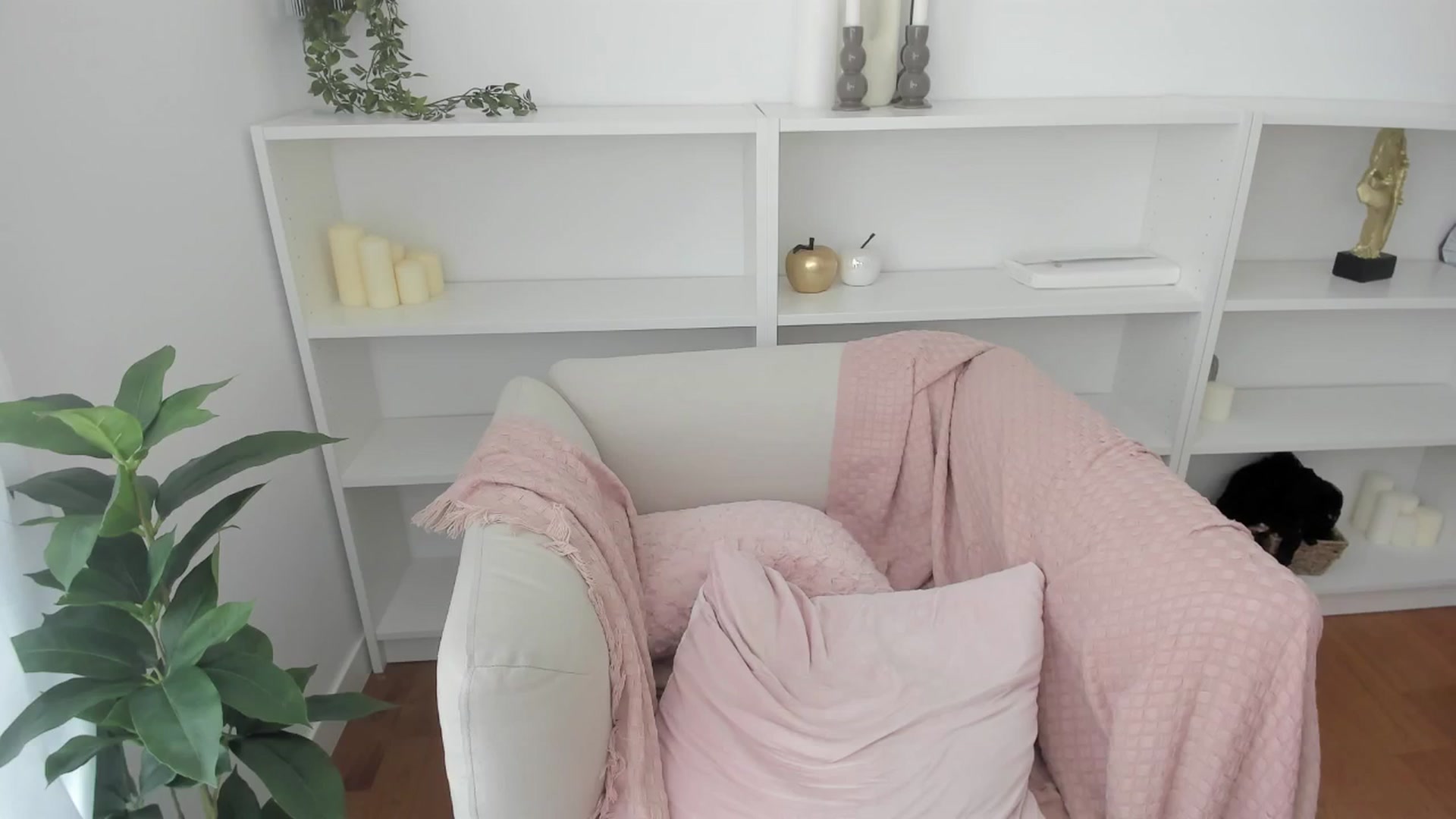 Gallery image thumbnail from Evelyne_fox's myfreecams stream on, 07/02/2025, 11:49 image 17 of 20
