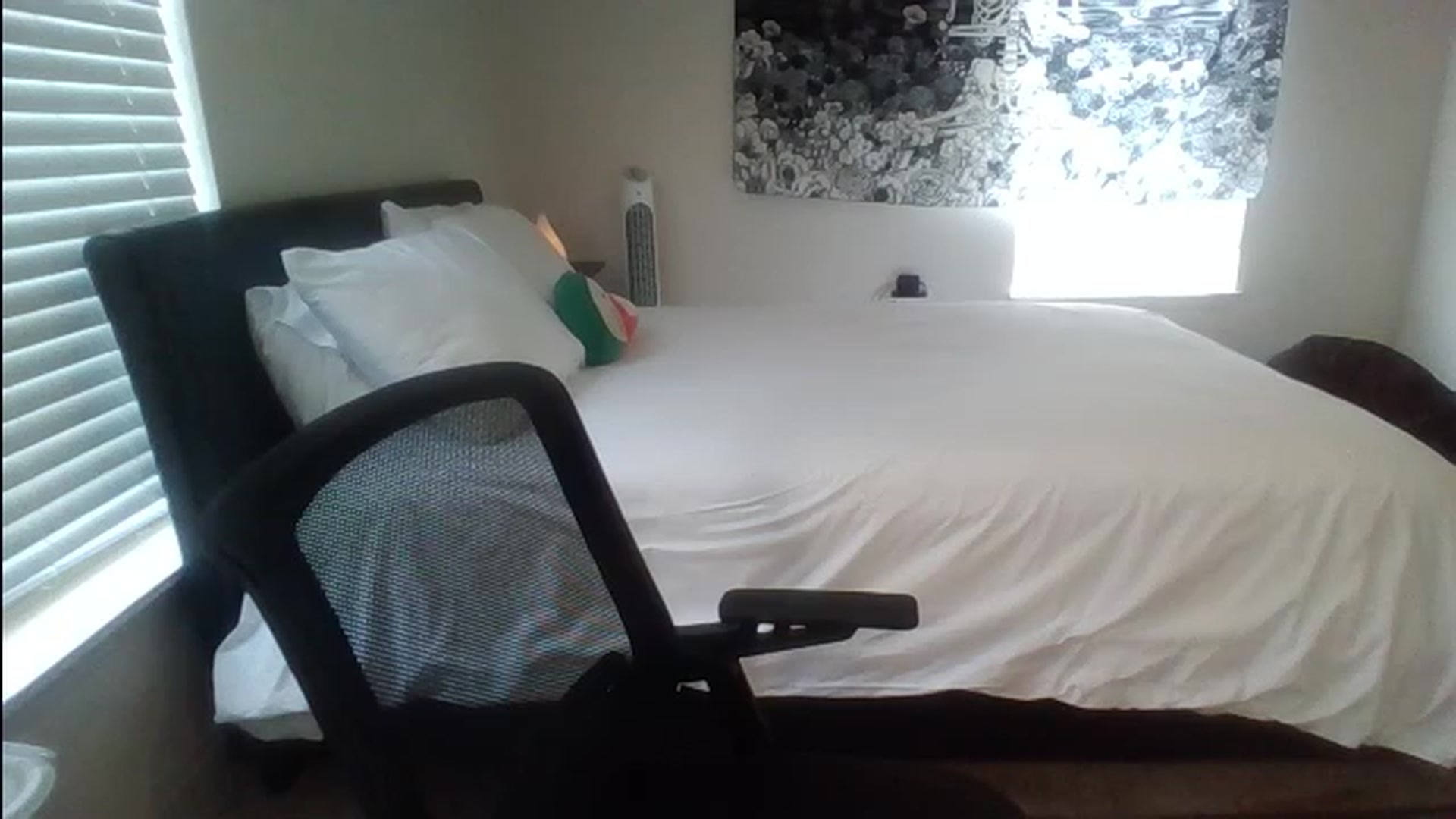 Gallery image thumbnail from Evelynrose_x's myfreecams stream on, 12/04/2022, 19:23 image 5 of 20
