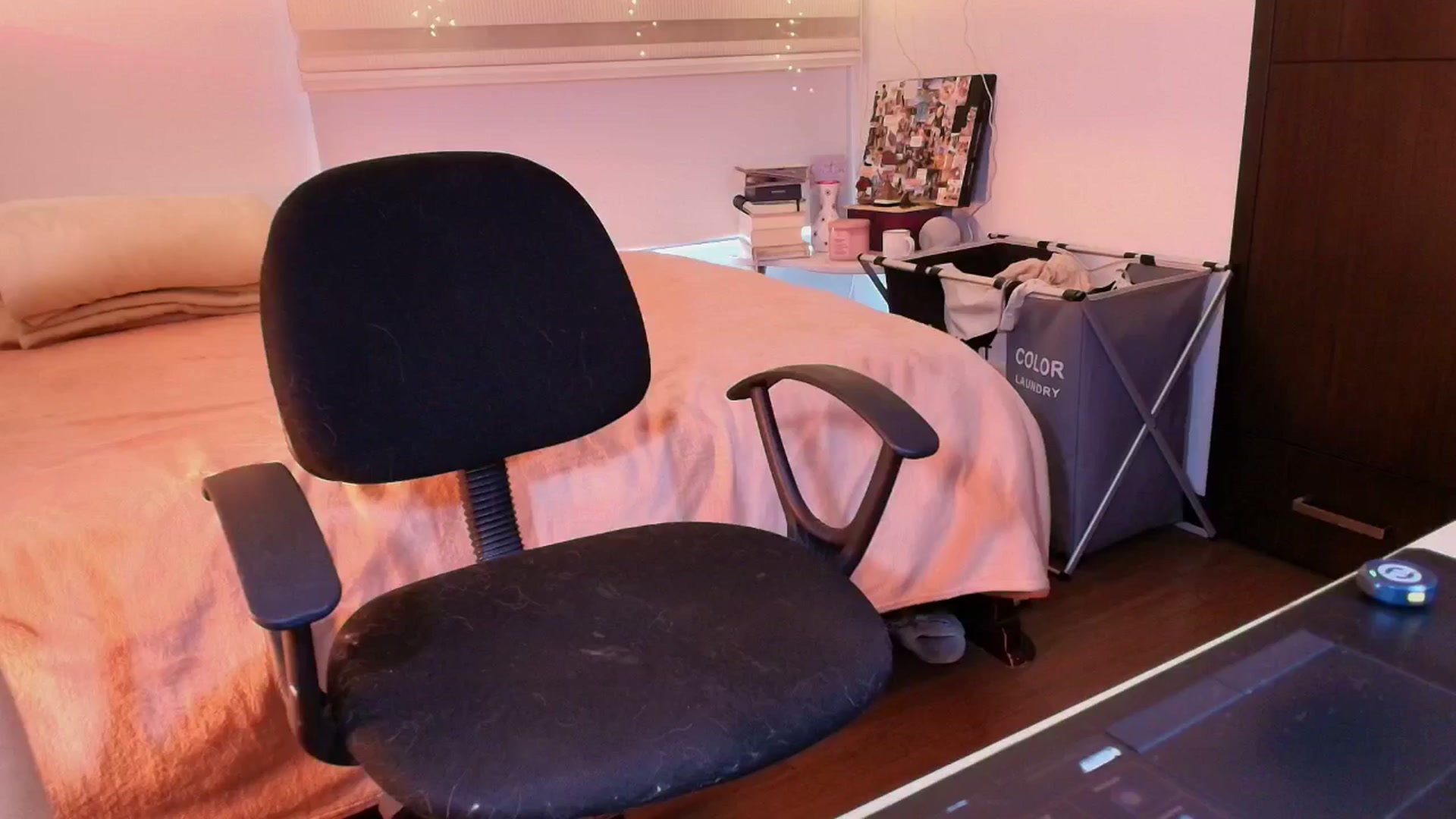Gallery image thumbnail from Evie_bloom's myfreecams stream on, 02/23/2026, 22:13 image 17 of 20