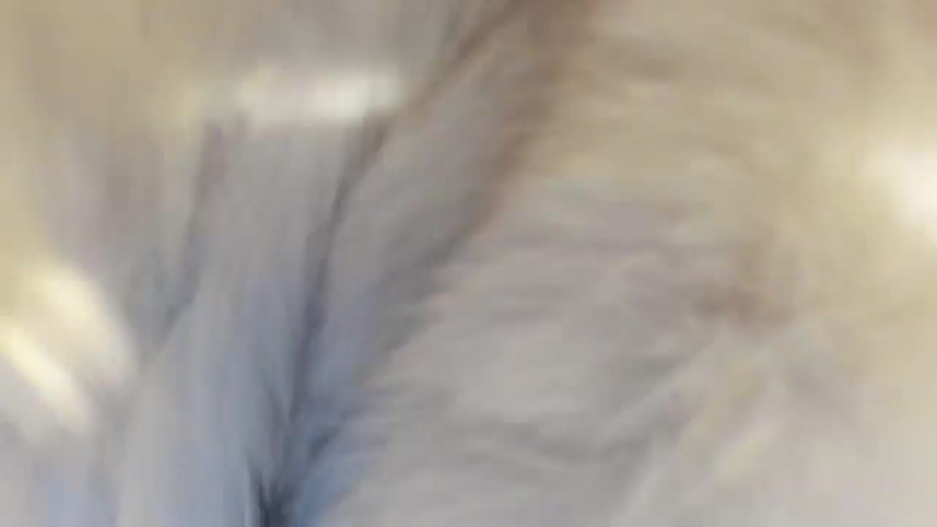 Gallery image thumbnail from Evilelegance's myfreecams stream on, 07/06/2025, 09:22 image 20 of 20