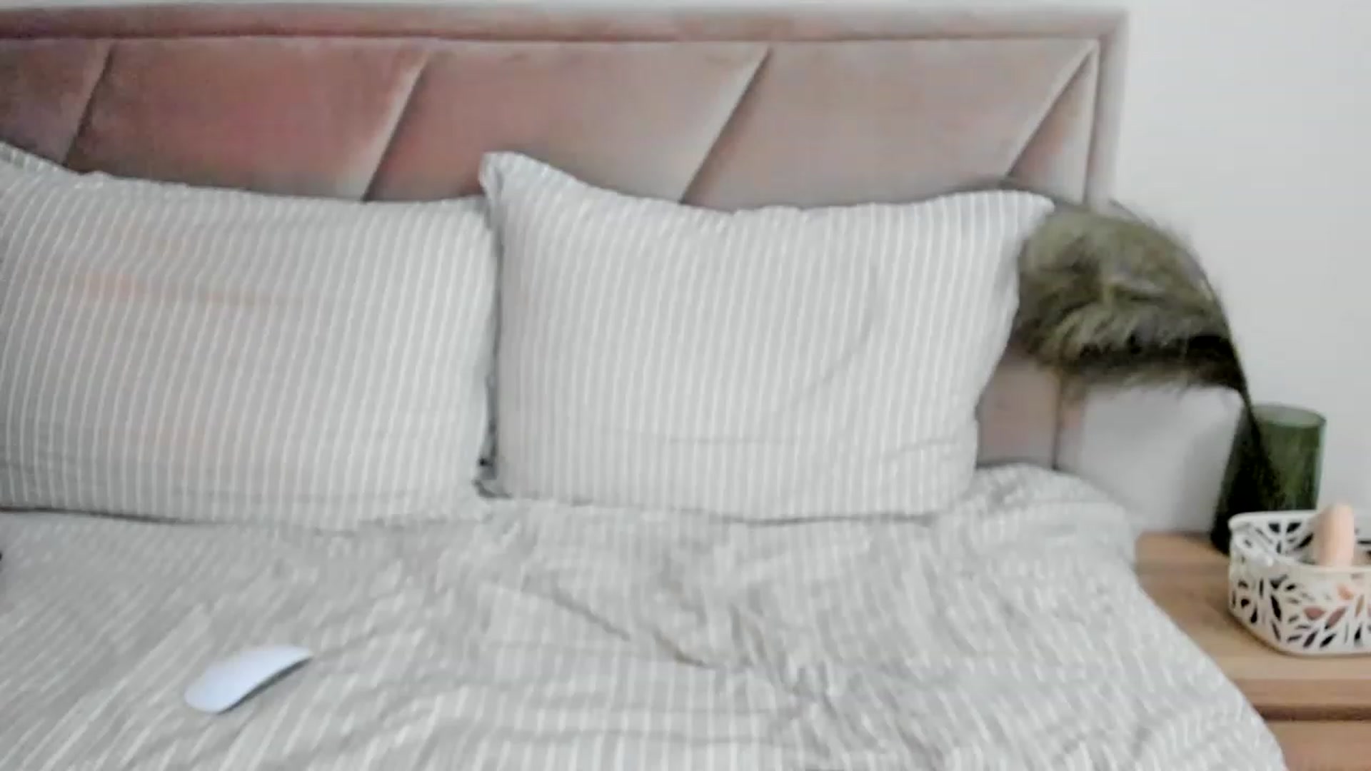 Gallery image thumbnail from Evricka's myfreecams stream on, 12/06/2022, 21:00 image 18 of 20