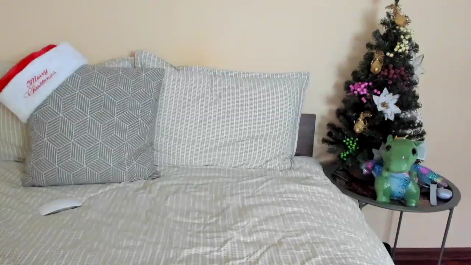 Gallery image thumbnail from Evricka's myfreecams stream on, 12/26/2023, 13:46 image 16 of 20