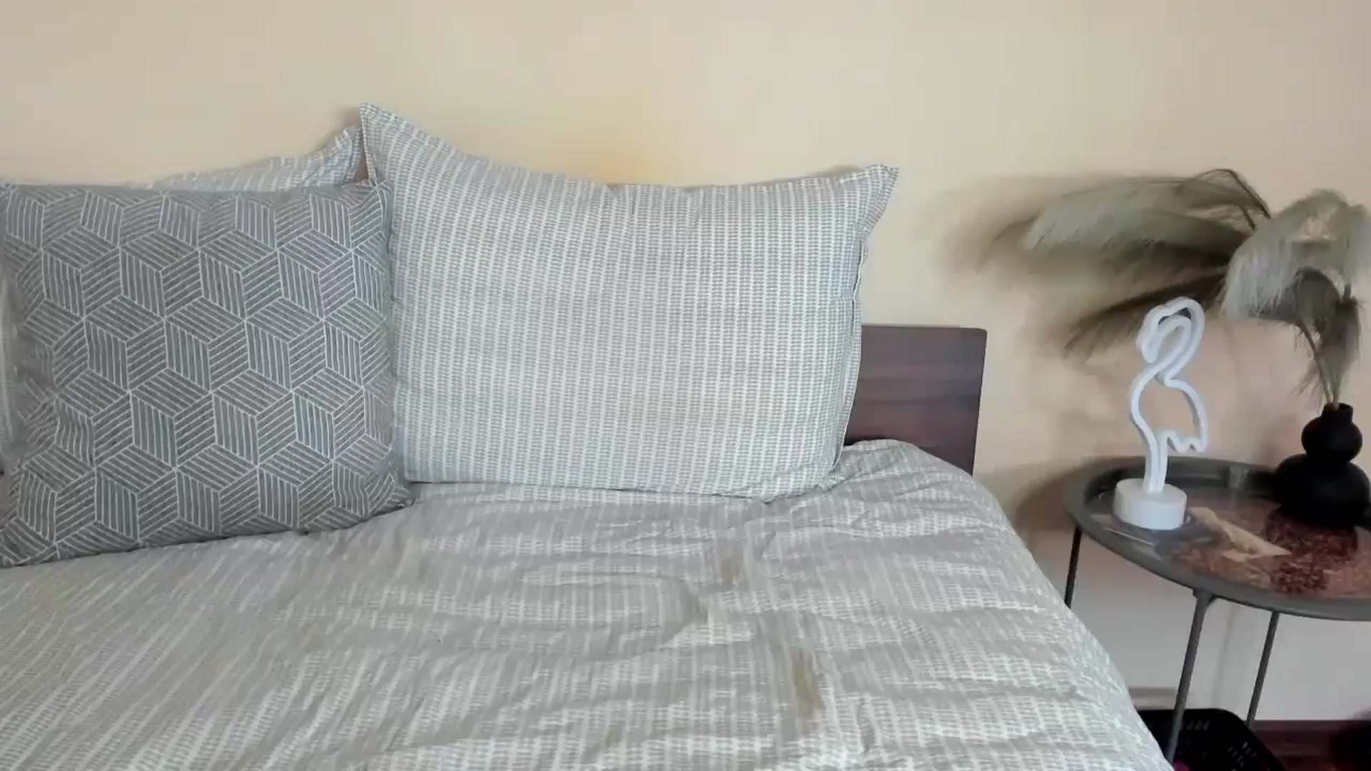 Gallery image thumbnail from Evricka's myfreecams stream on, 05/05/2024, 15:03 image 18 of 20