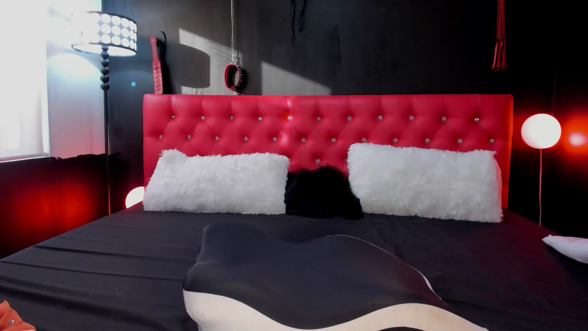 Gallery image thumbnail from ExoticGoddesX's myfreecams stream on, 02/03/2026, 09:22 image 4 of 20