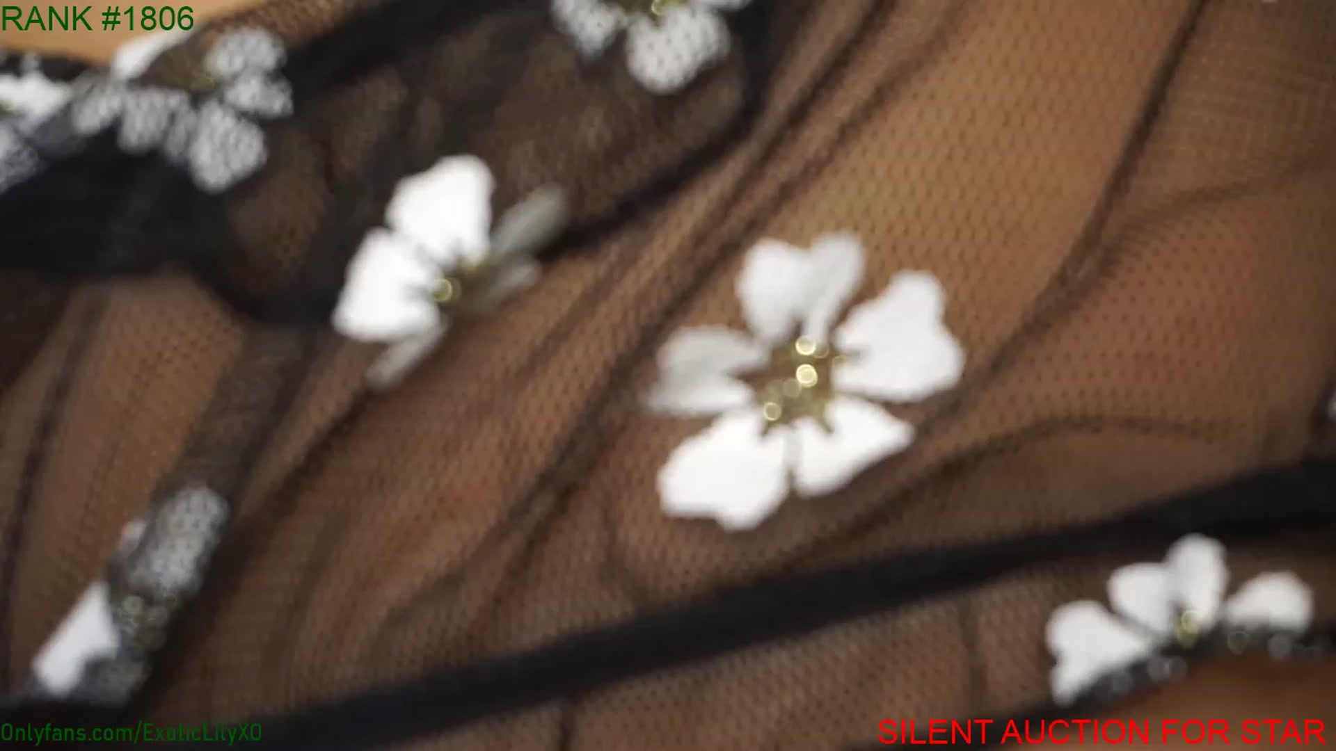 Gallery image thumbnail from ExoticLilyXO's myfreecams stream on, 12/15/2022, 03:57 image 16 of 20