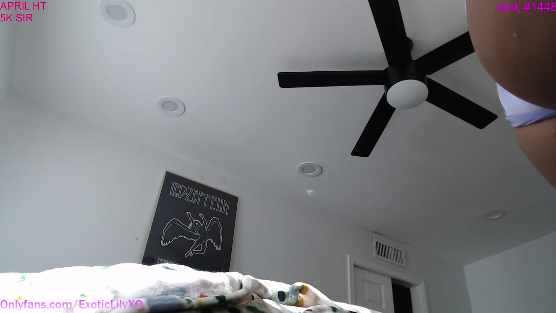 Gallery image thumbnail from ExoticLilyXO's myfreecams stream on, 04/25/2023, 23:59 image 4 of 20