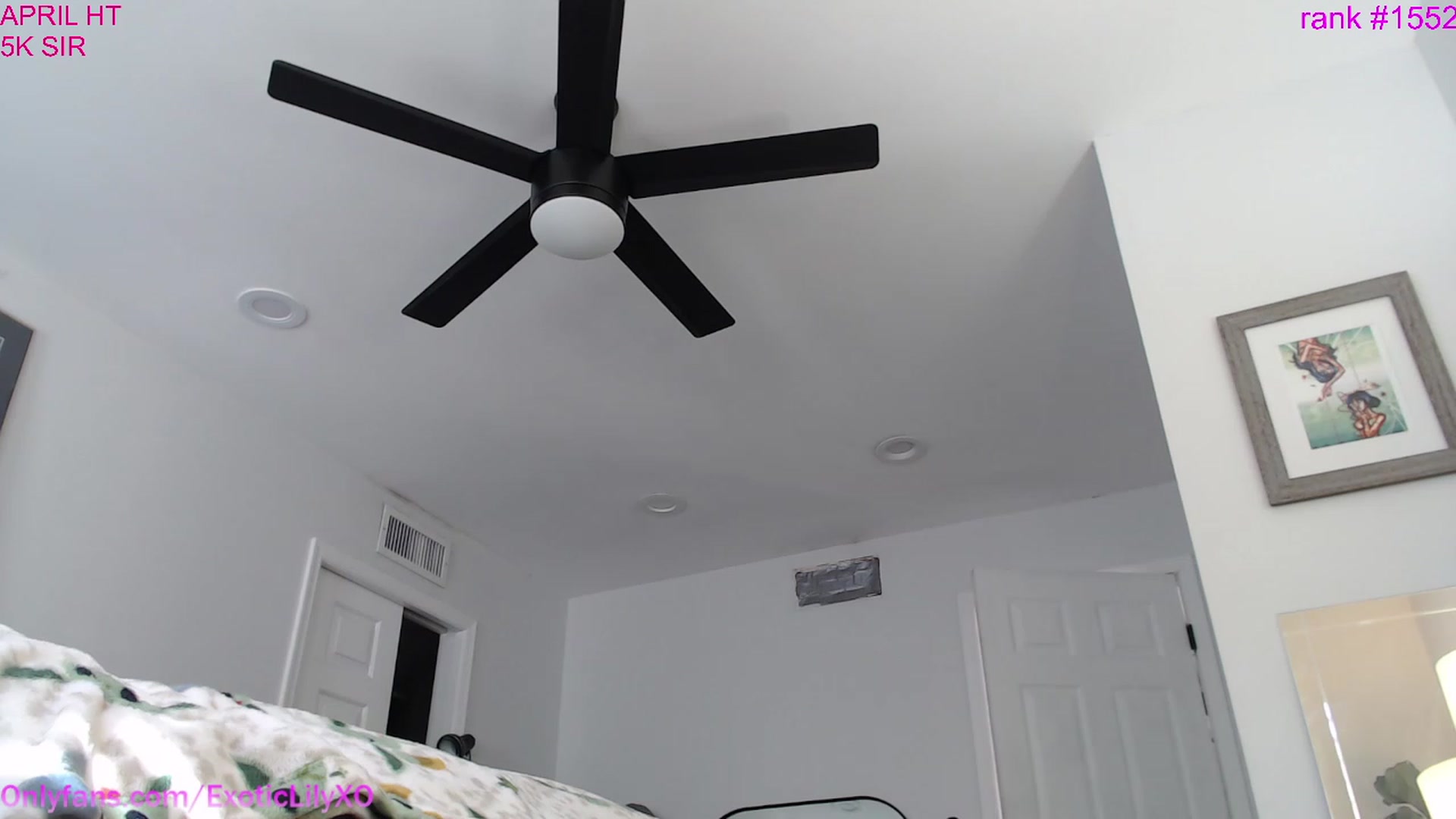 Gallery image thumbnail from ExoticLilyXO's myfreecams stream on, 04/27/2023, 22:07 image 15 of 20