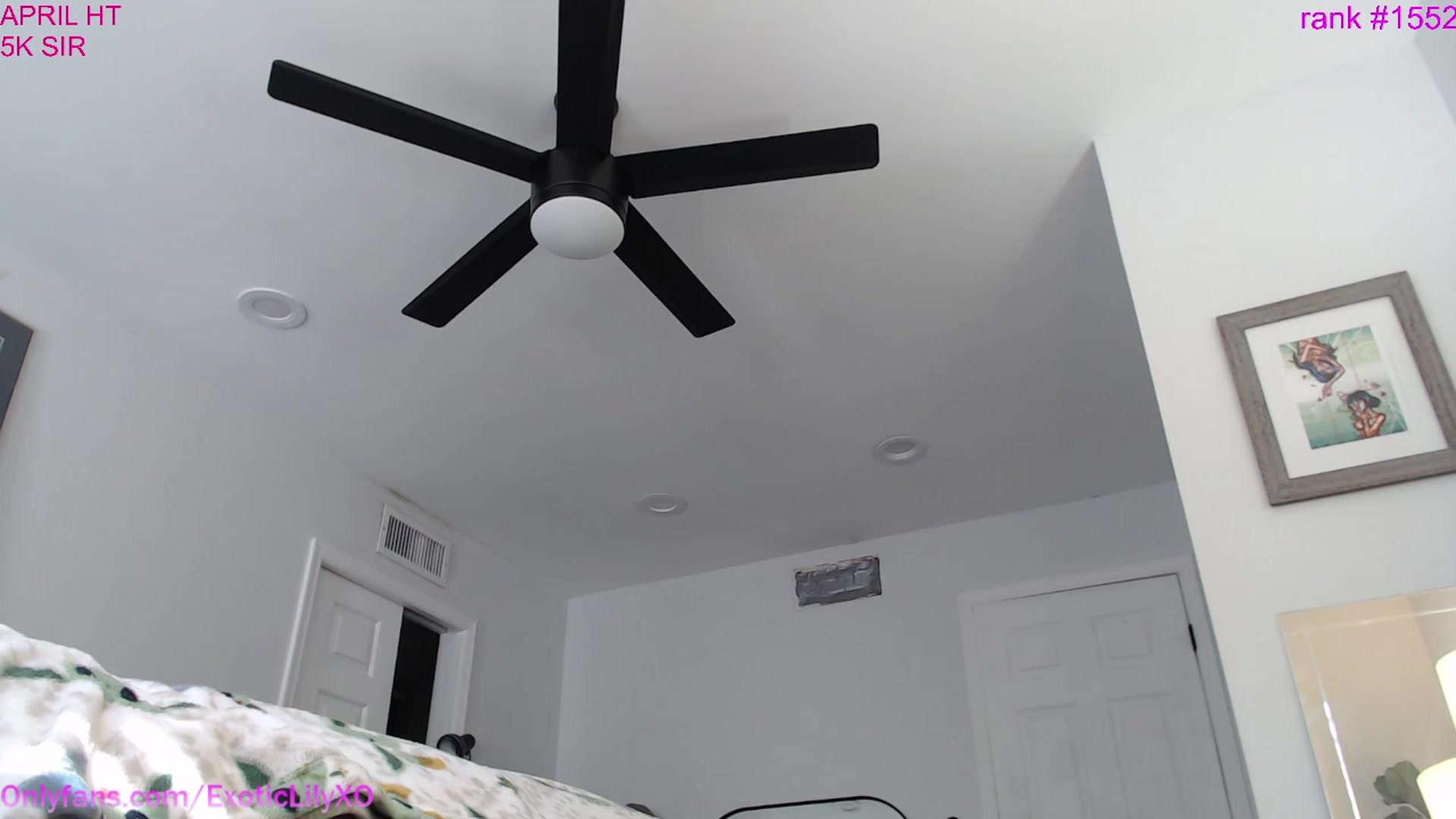 Gallery image thumbnail from ExoticLilyXO's myfreecams stream on, 04/27/2023, 22:07 image 16 of 20