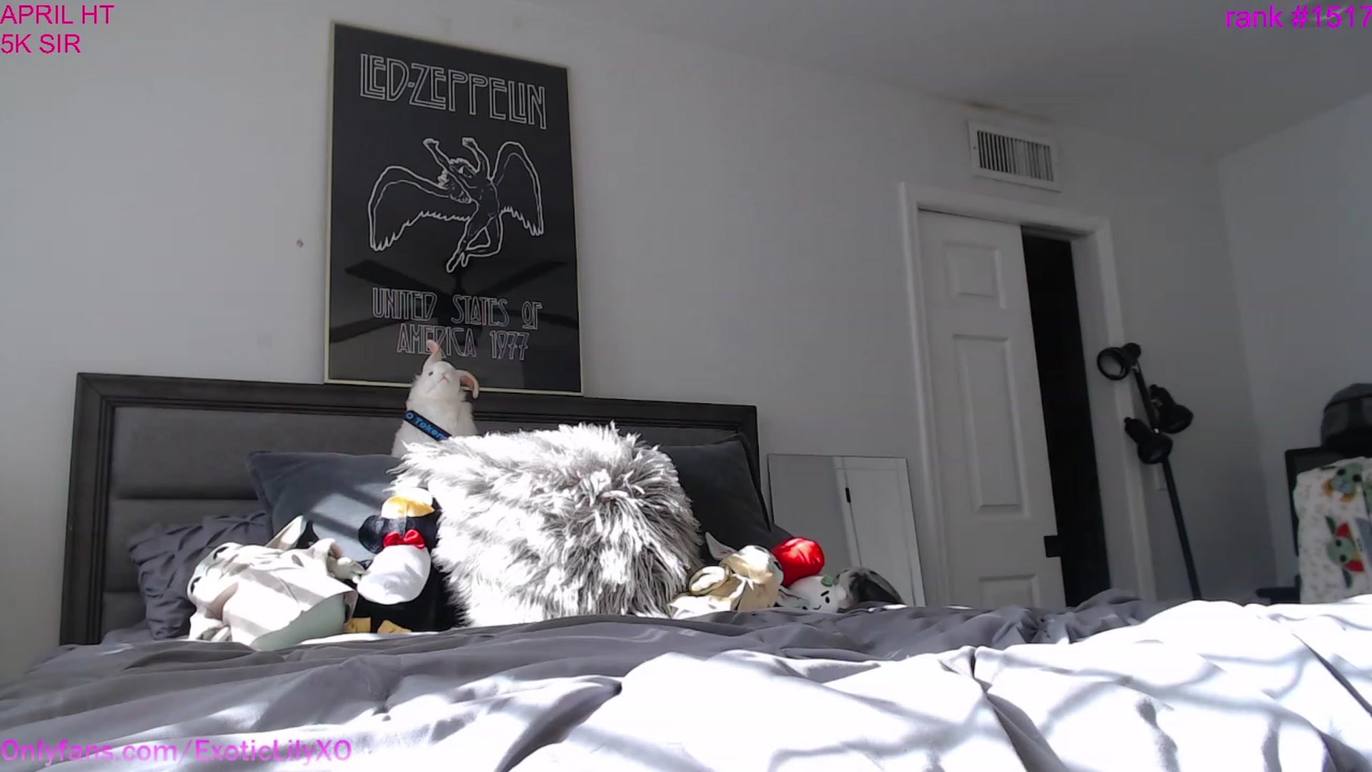 Gallery image thumbnail from ExoticLilyXO's myfreecams stream on, 04/28/2023, 24:19 image 17 of 20