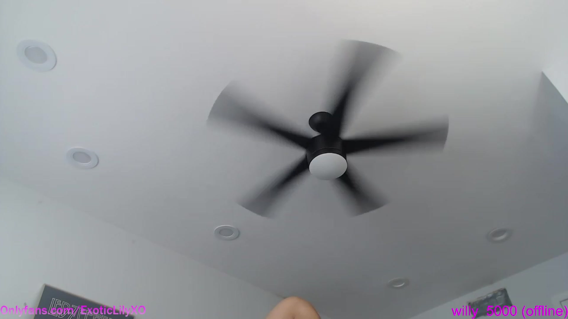 Gallery image thumbnail from ExoticLilyXO's myfreecams stream on, 06/30/2023, 24:03 image 11 of 20