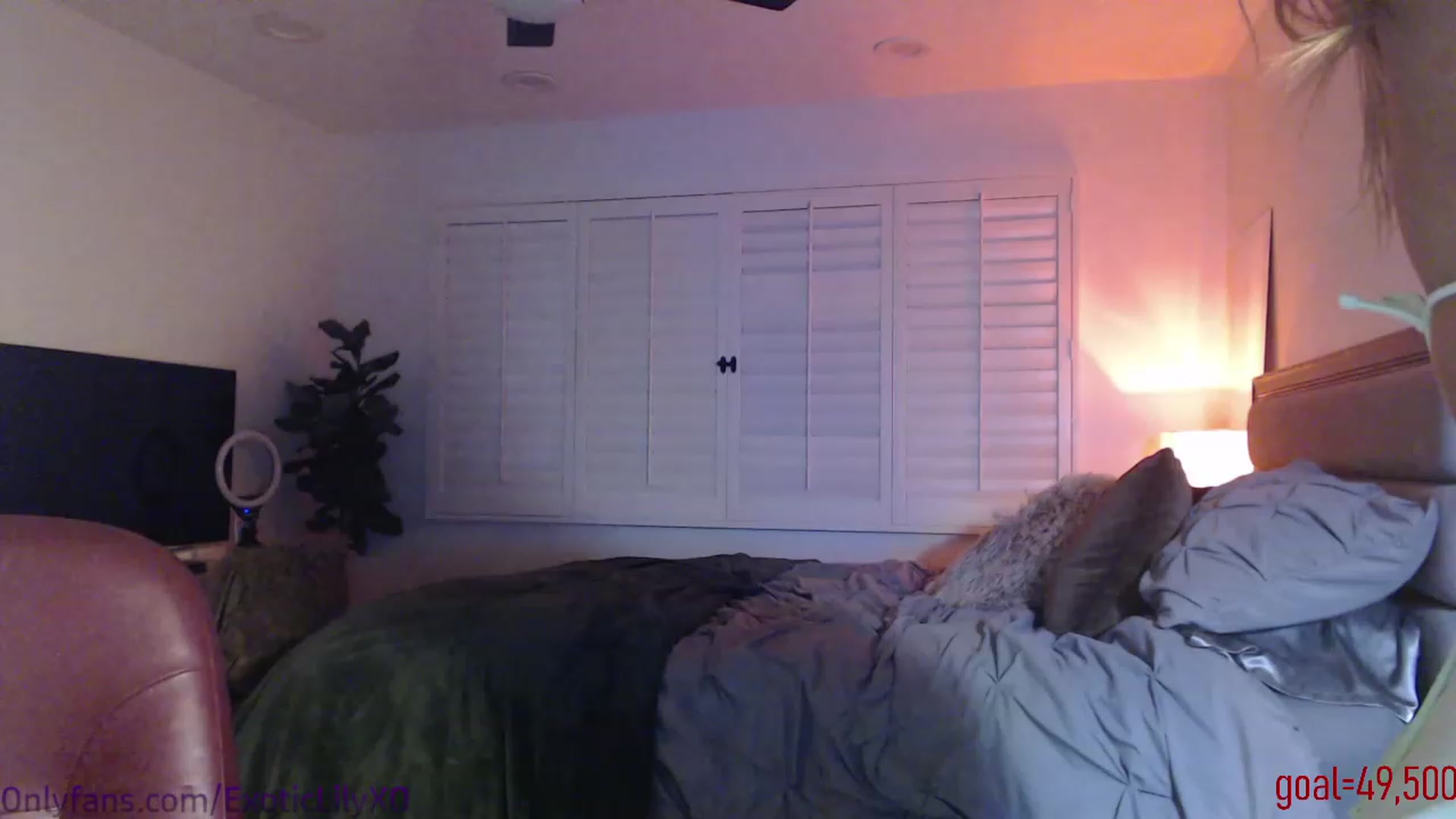 Gallery image thumbnail from ExoticLilyXO's myfreecams stream on, 01/10/2024, 01:41 image 18 of 20