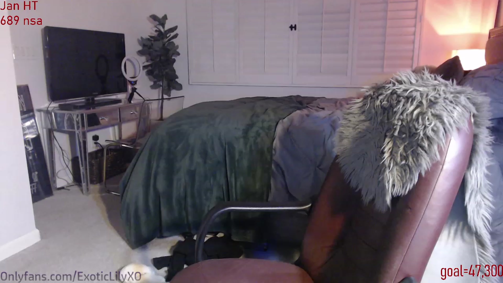 Gallery image thumbnail from ExoticLilyXO's myfreecams stream on, 01/10/2024, 03:20 image 9 of 20