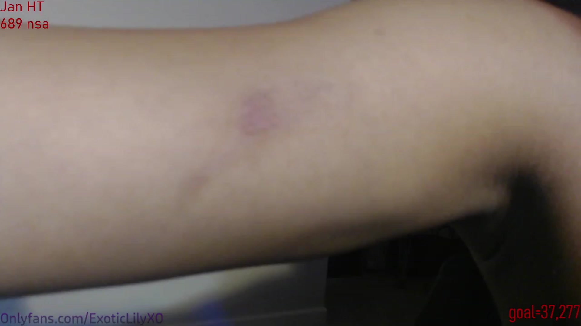 Gallery image thumbnail from ExoticLilyXO's myfreecams stream on, 01/10/2024, 03:20 image 16 of 20