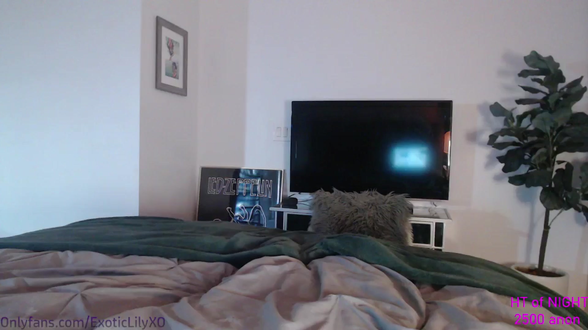 Gallery image thumbnail from ExoticLilyXO's myfreecams stream on, 02/13/2024, 02:37 image 13 of 20