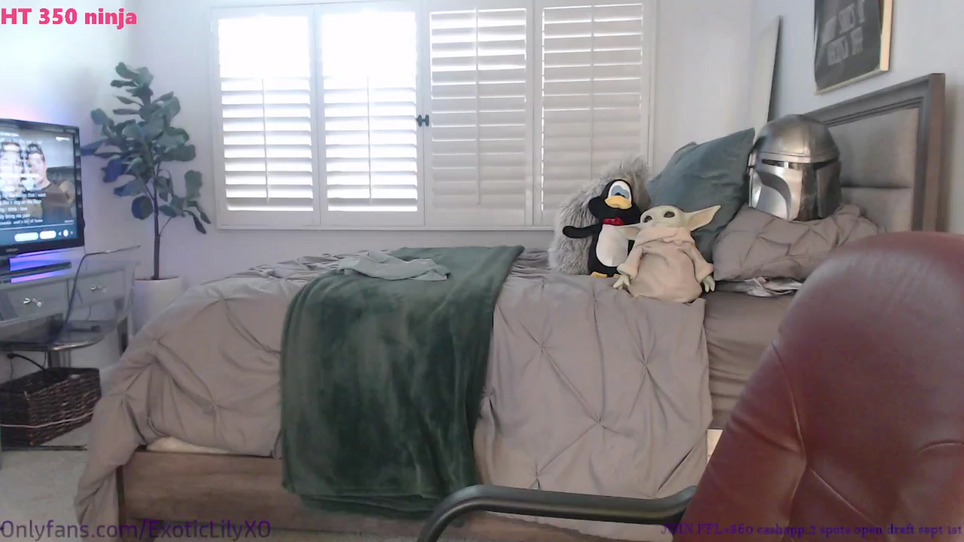 Gallery image thumbnail from ExoticLilyXO's myfreecams stream on, 08/23/2024, 01:08 image 5 of 20