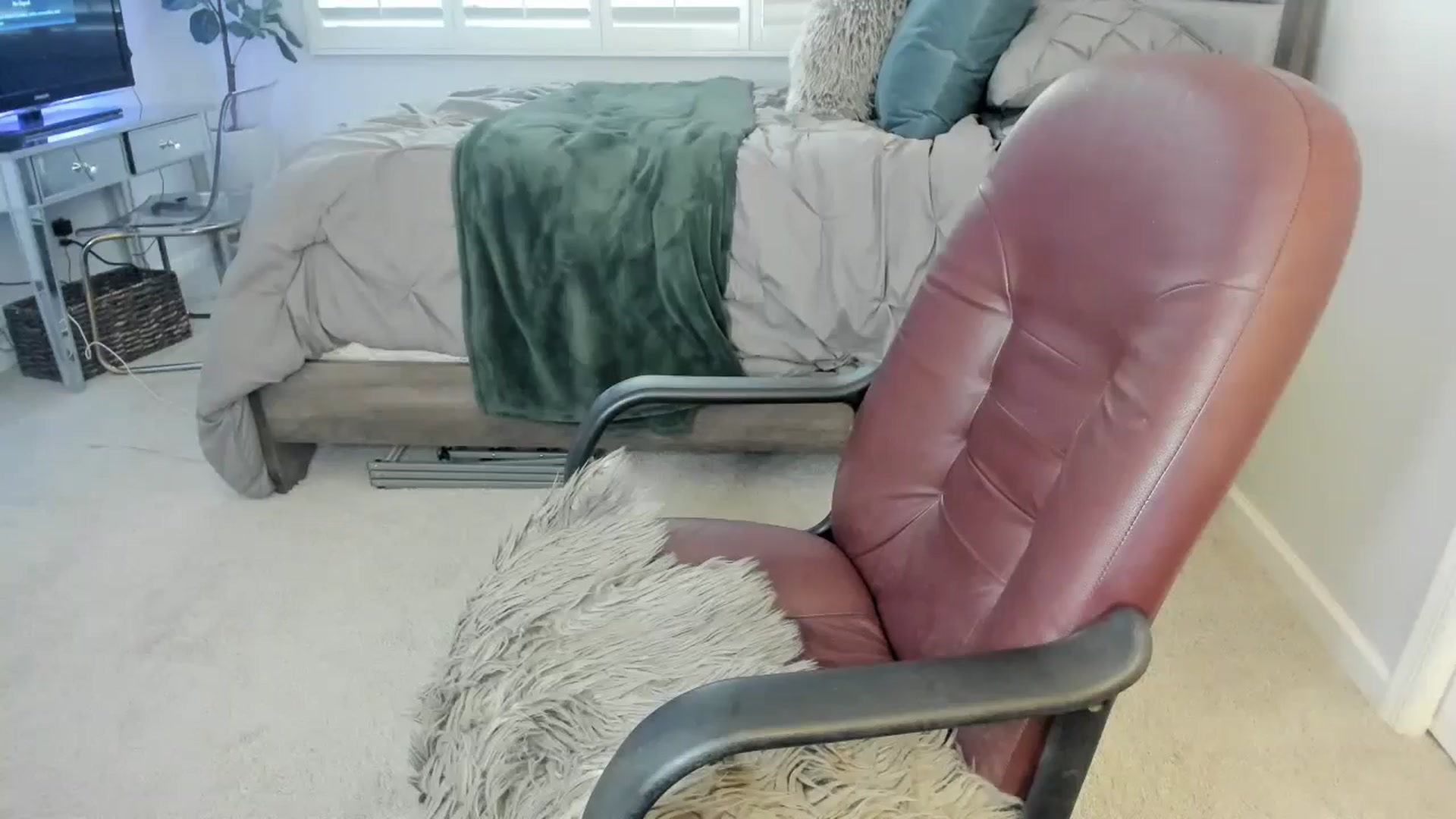 Gallery image thumbnail from ExoticLilyXO's myfreecams stream on, 09/11/2024, 24:27 image 13 of 20
