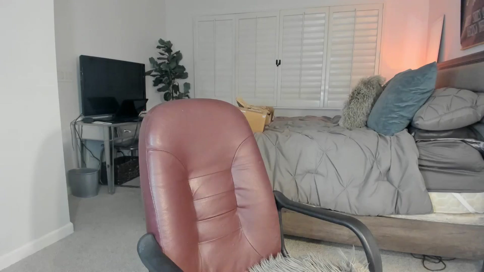 Gallery image thumbnail from ExoticLilyXO's myfreecams stream on, 10/22/2024, 24:52 image 15 of 20