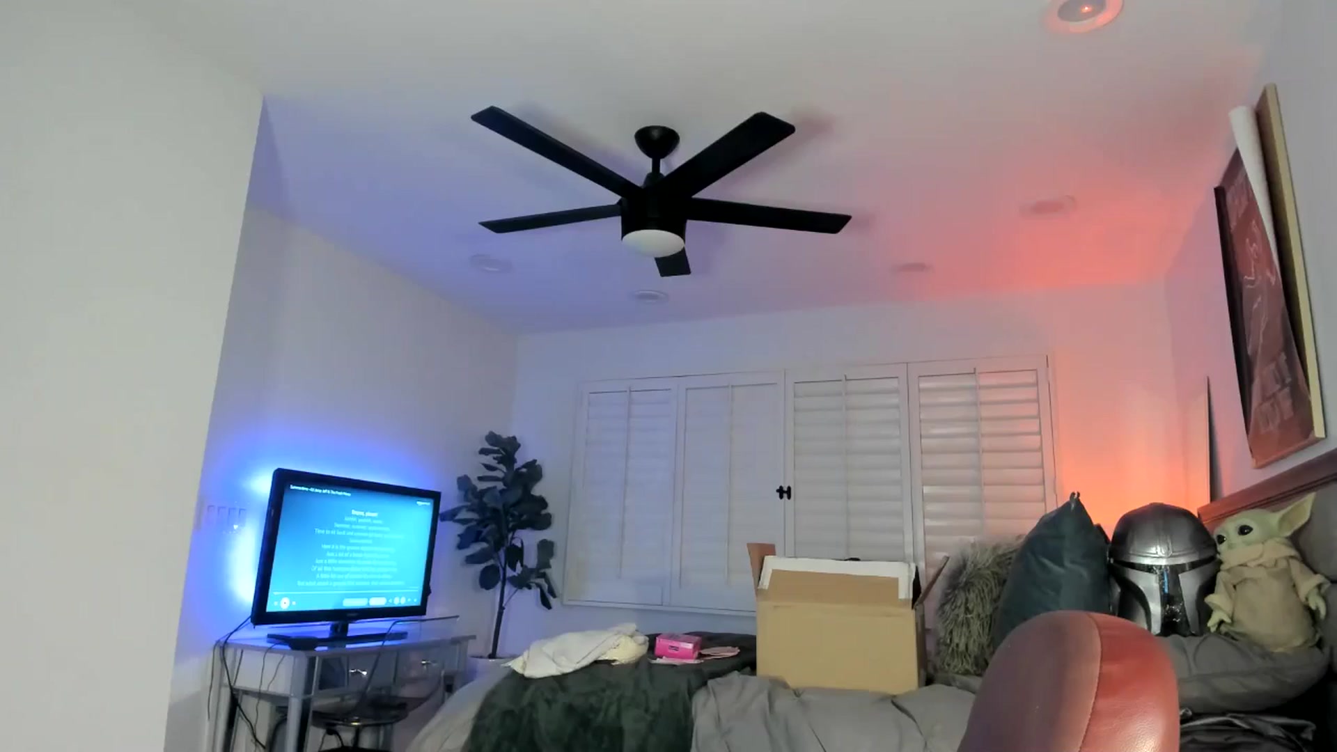 Gallery image thumbnail from ExoticLilyXO's myfreecams stream on, 11/07/2024, 01:41 image 19 of 20