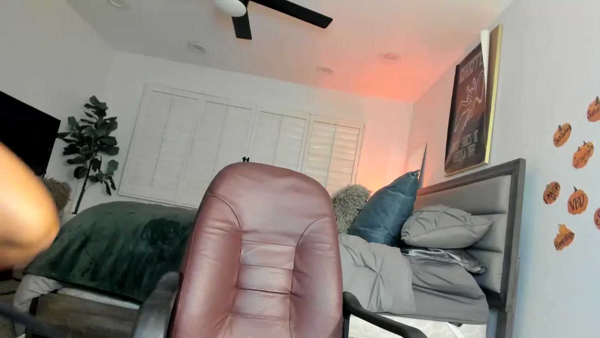 Gallery image thumbnail from ExoticLilyXO's myfreecams stream on, 11/26/2024, 02:09 image 7 of 20