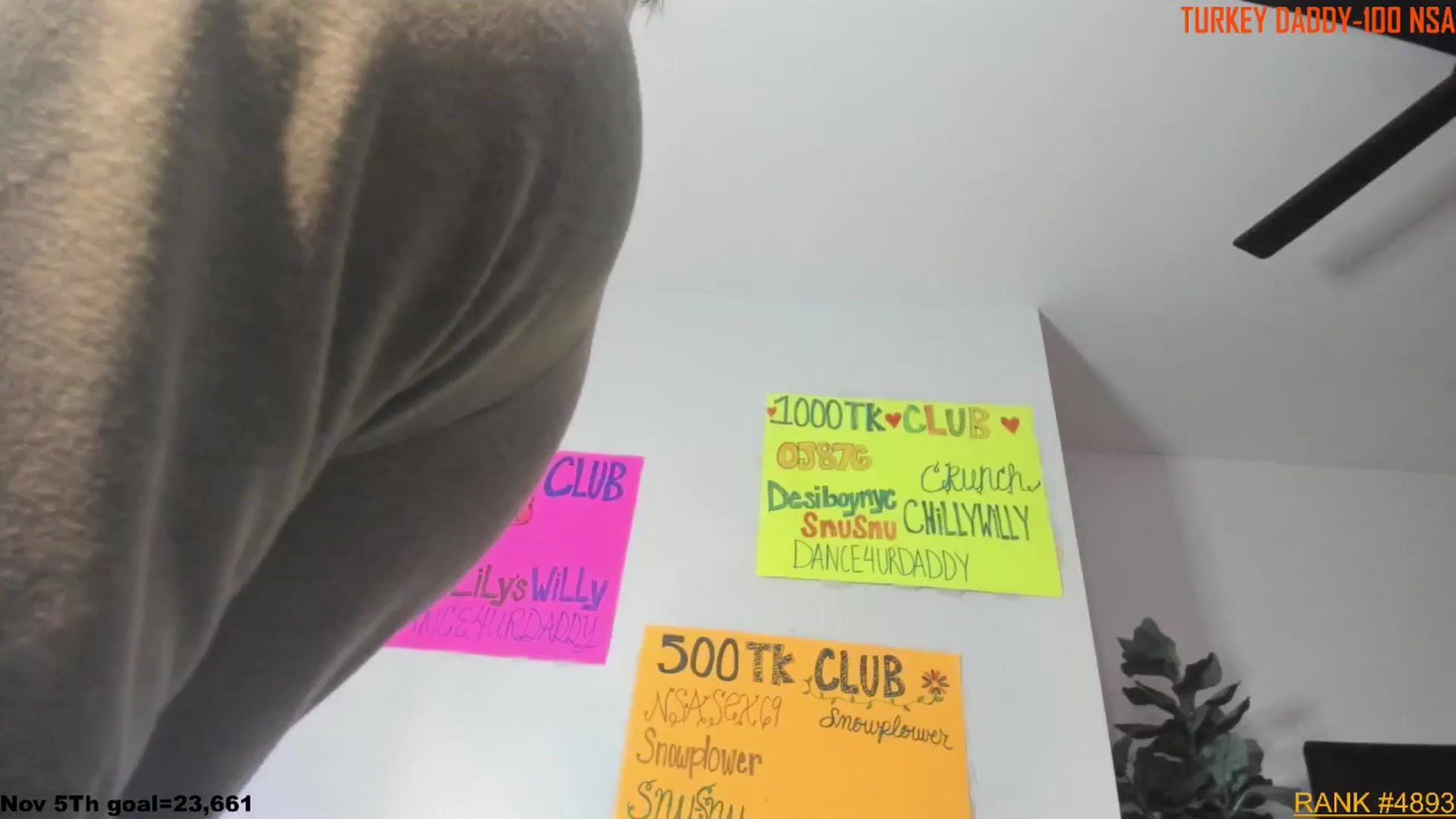 Gallery image thumbnail from ExoticLilyXO's myfreecams stream on, 11/04/2025, 01:25 image 13 of 20