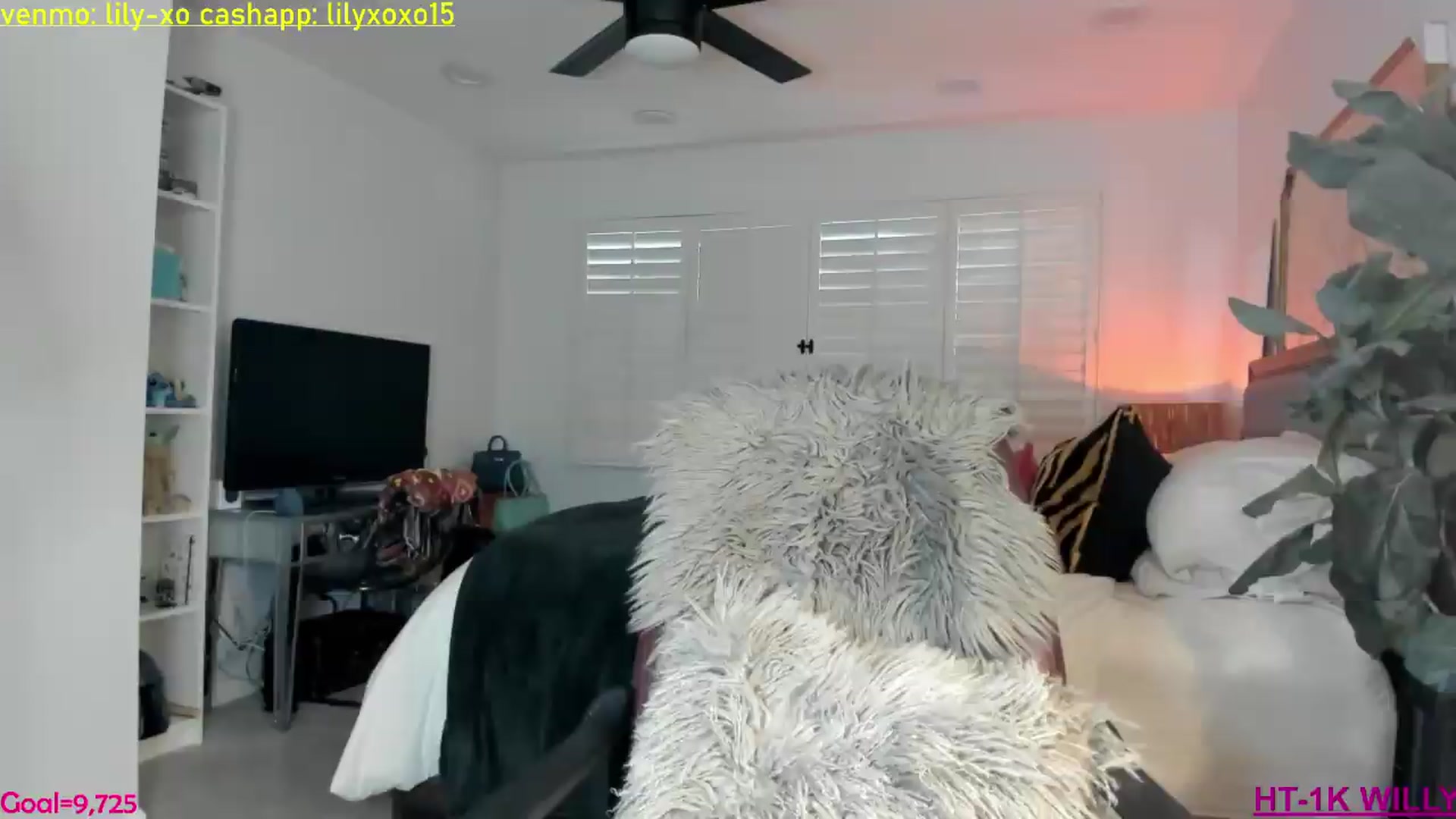 Gallery image thumbnail from ExoticLilyXO's myfreecams stream on, 07/24/2026, 02:06 image 8 of 20