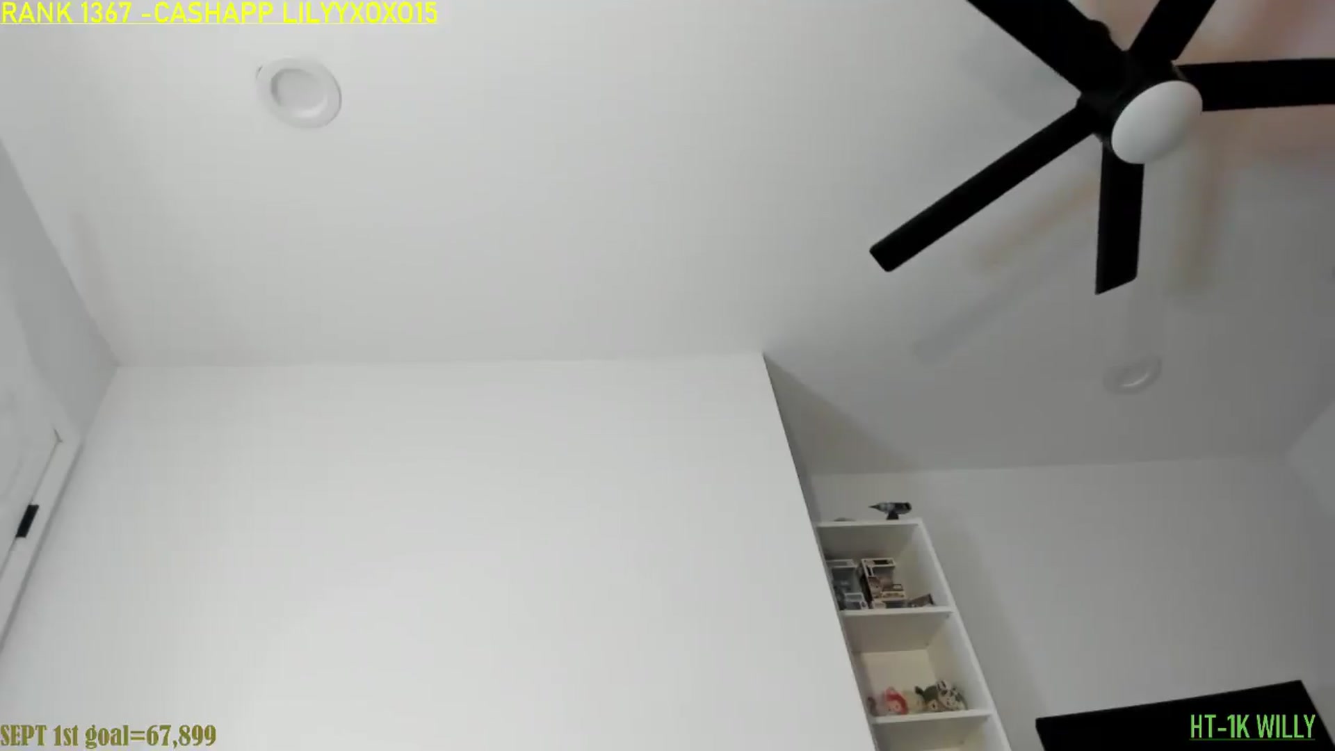 Gallery image thumbnail from ExoticLilyXO's myfreecams stream on, 08/19/2026, 24:59 image 17 of 20