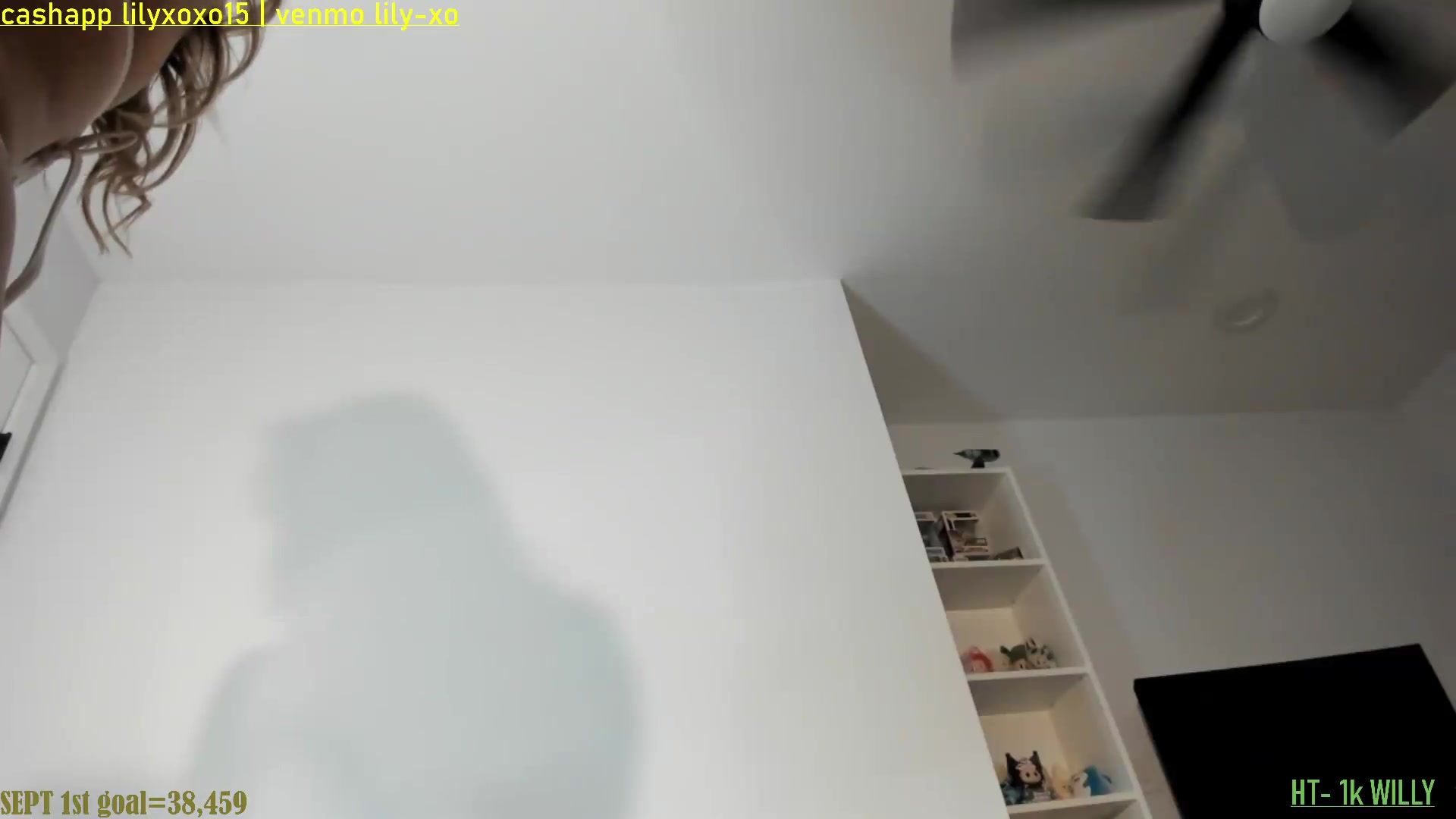 Gallery image thumbnail from ExoticLilyXO's myfreecams stream on, 08/27/2026, 02:23 image 17 of 20