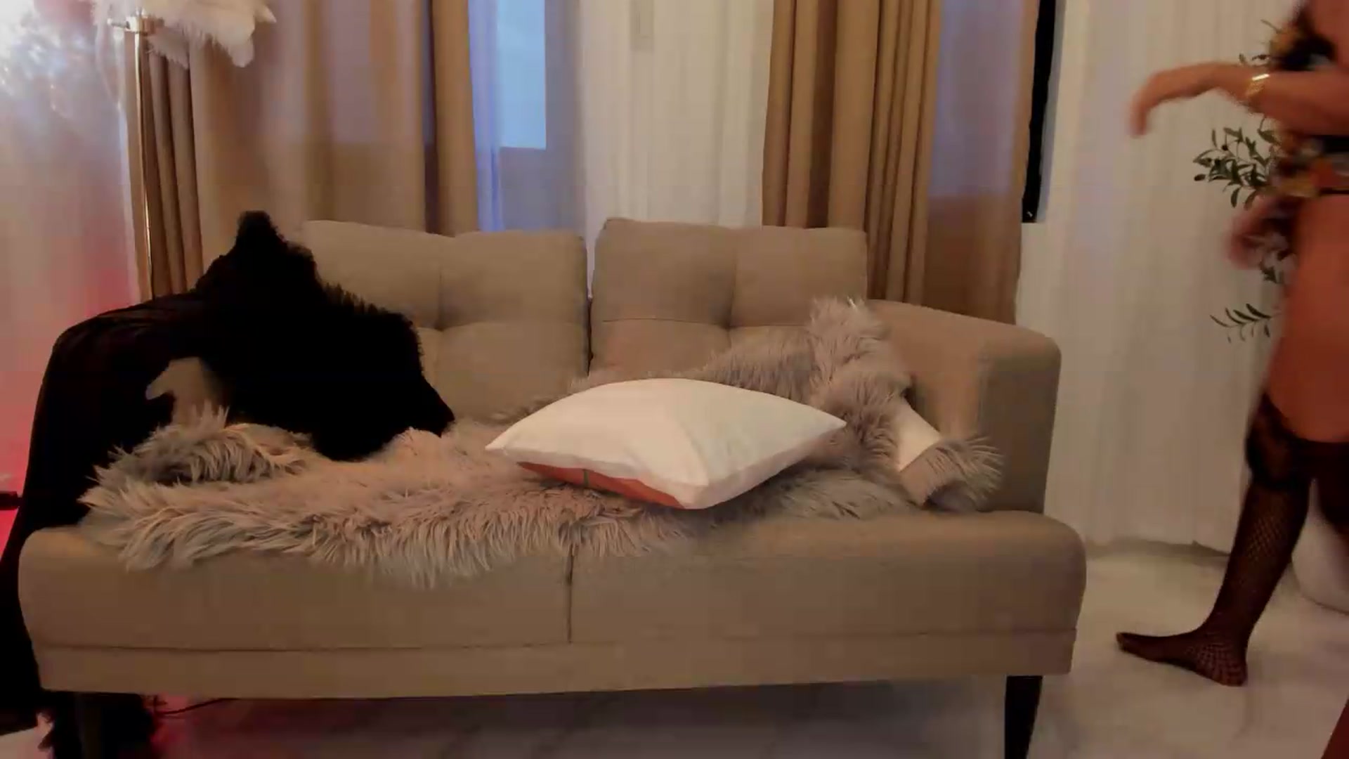Gallery image thumbnail from ExoticQueenXXX's myfreecams stream on, 08/07/2026, 10:20 image 3 of 20