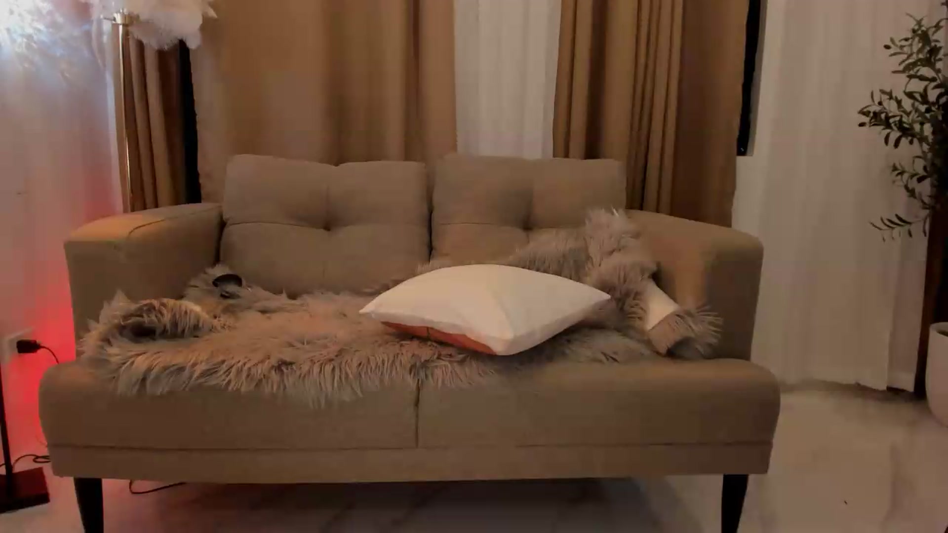 Gallery image thumbnail from ExoticQueenXXX's myfreecams stream on, 08/07/2026, 11:14 image 5 of 20