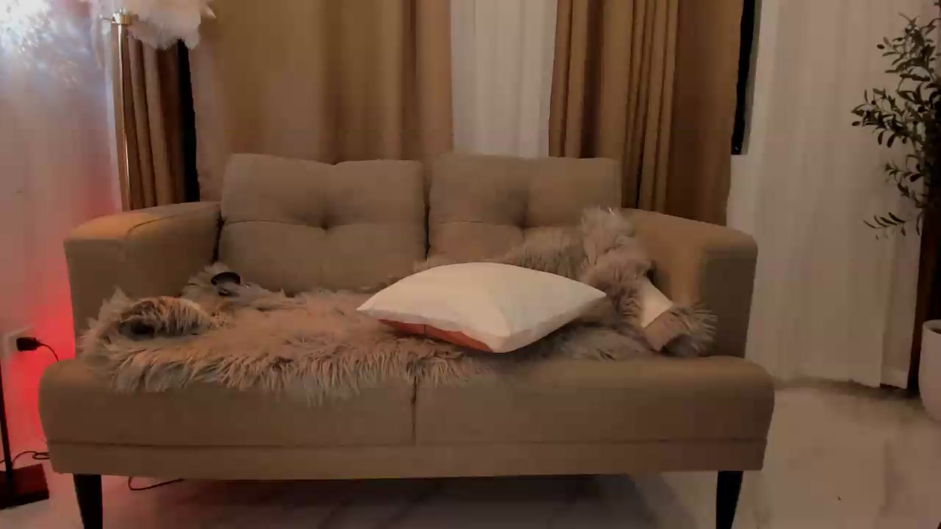 Gallery image thumbnail from ExoticQueenXXX's myfreecams stream on, 08/07/2026, 11:14 image 6 of 20