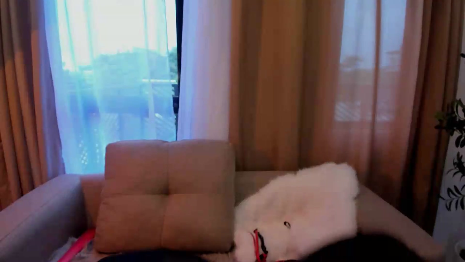 Gallery image thumbnail from ExoticSeductressXXX's myfreecams stream on, 08/15/2026, 01:08 image 10 of 20