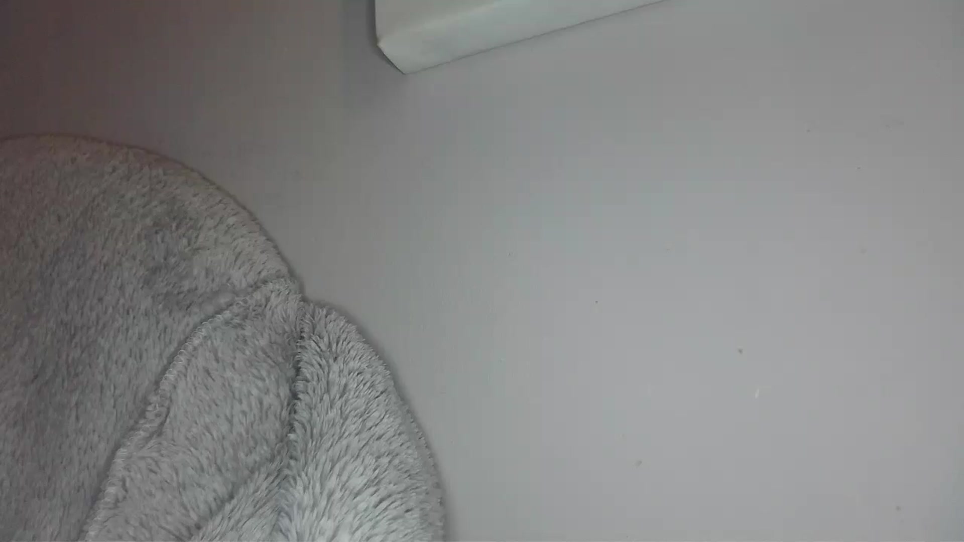 Gallery image thumbnail from EyeUkCandy's myfreecams stream on, 09/13/2025, 15:39 image 16 of 20
