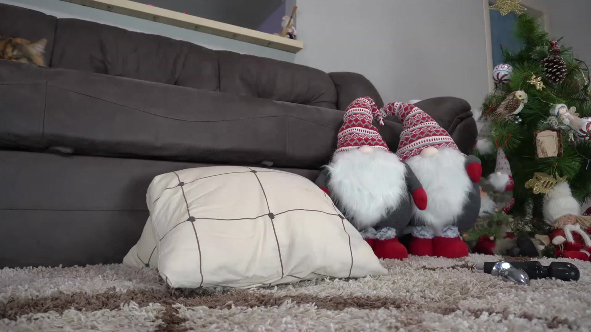 Gallery image thumbnail from FOXKATE's myfreecams stream on, 12/31/2022, 10:55 image 12 of 20