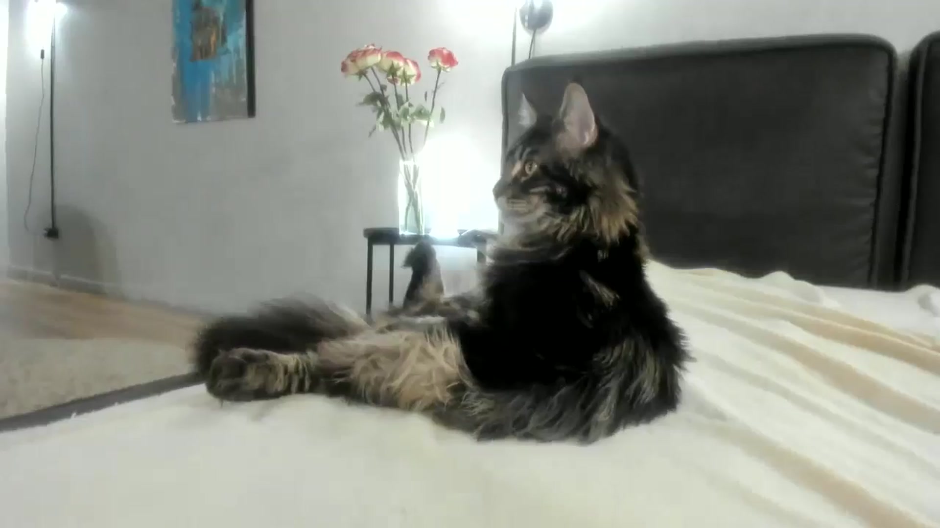 Gallery image thumbnail from F_L_E_U_R's myfreecams stream on, 02/17/2025, 24:48 image 20 of 20