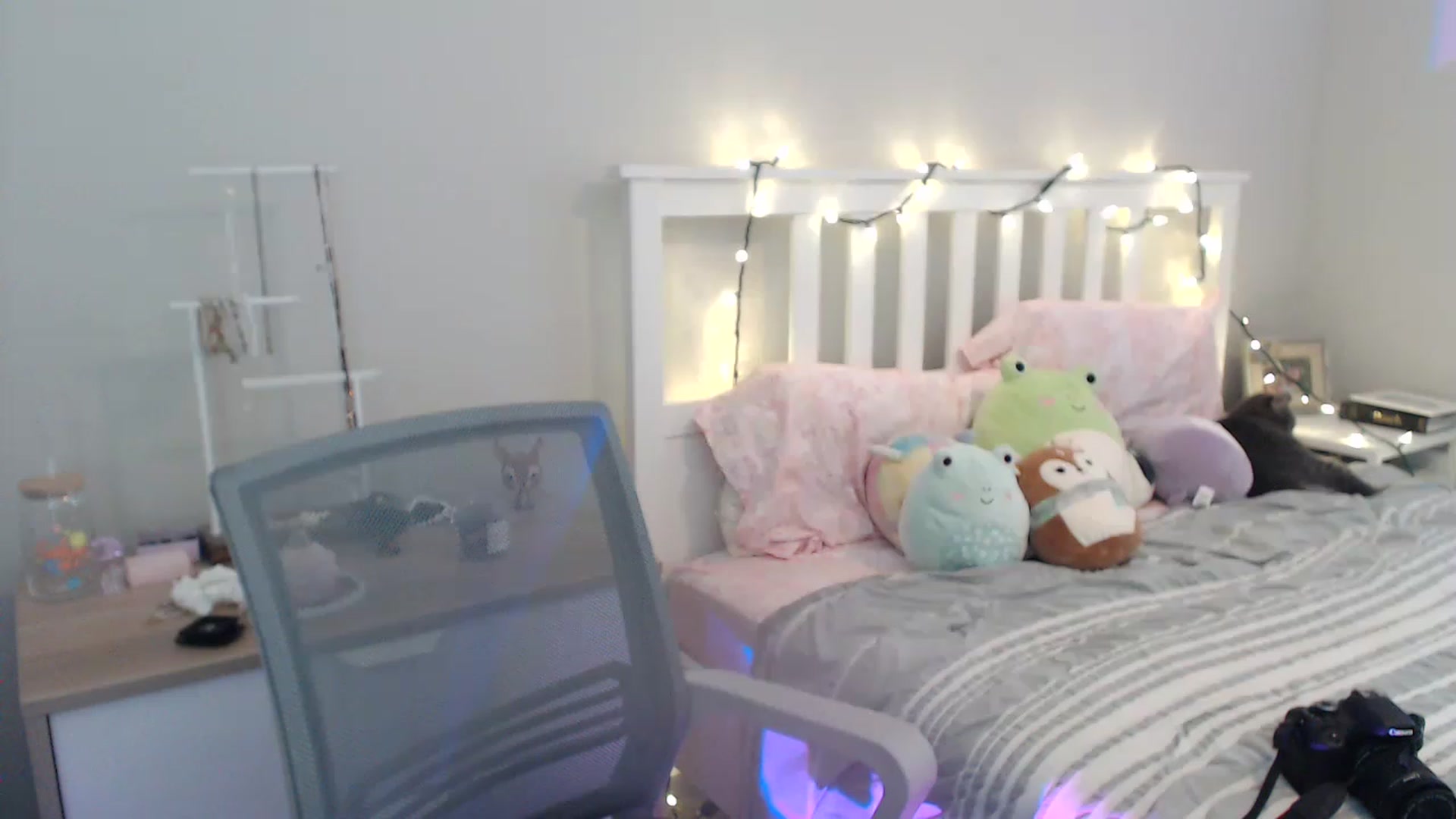 Gallery image thumbnail from Faeryfawn's myfreecams stream on, 05/31/2023, 20:27 image 17 of 20