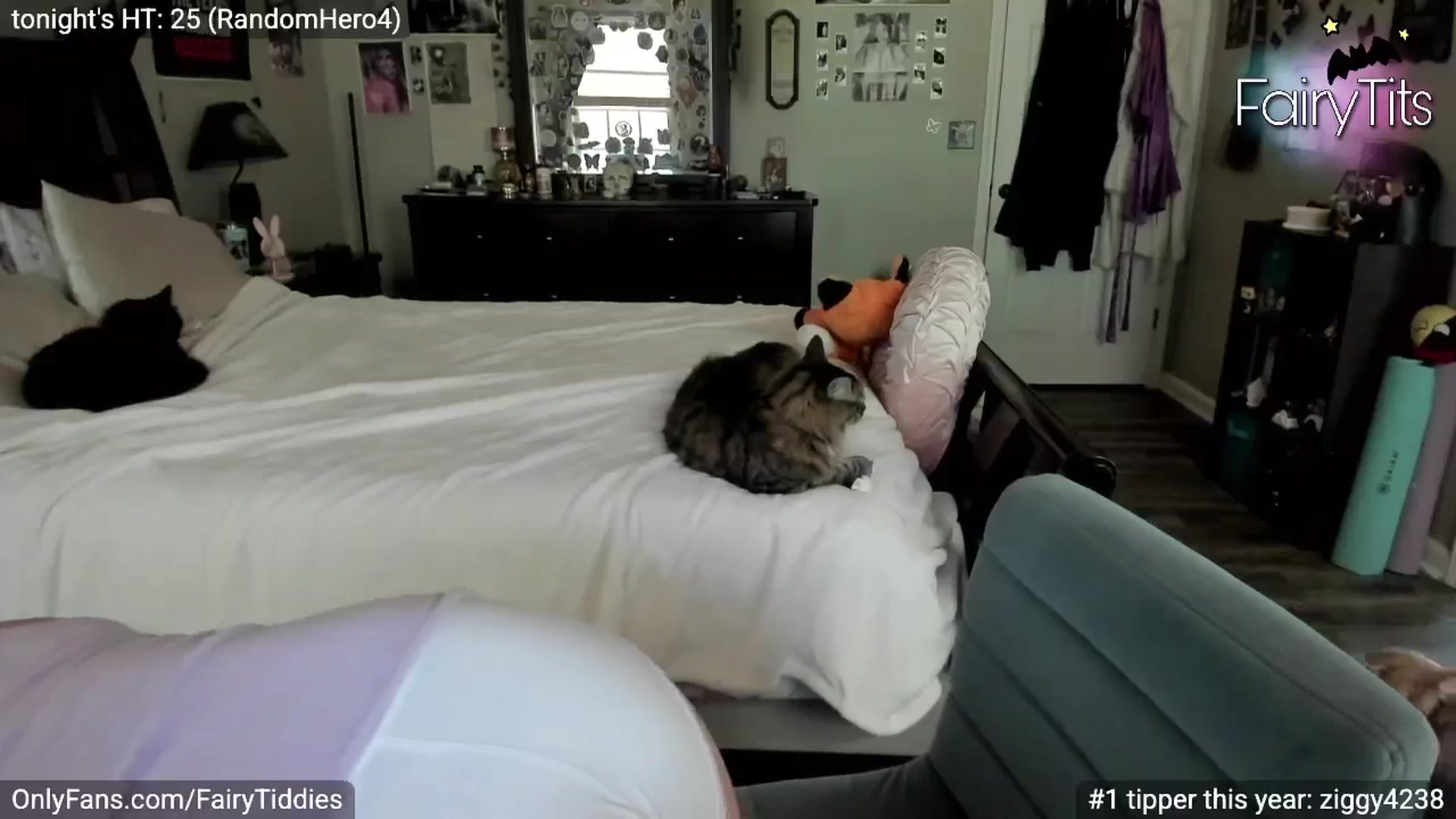Gallery image thumbnail from FairyTits's myfreecams stream on, 07/17/2025, 18:46 image 18 of 20