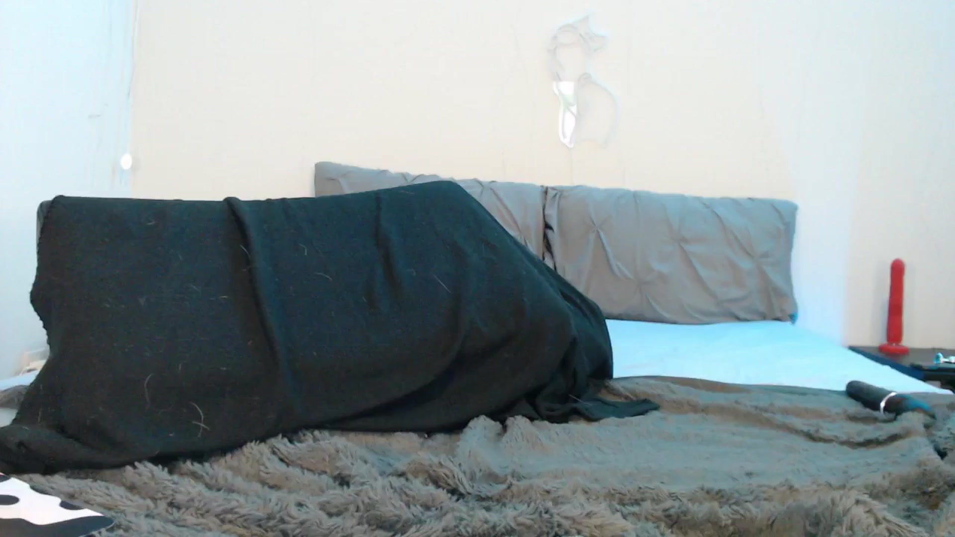 Gallery image thumbnail from Fallonxgray's myfreecams stream on, 12/11/2024, 01:43 image 9 of 20