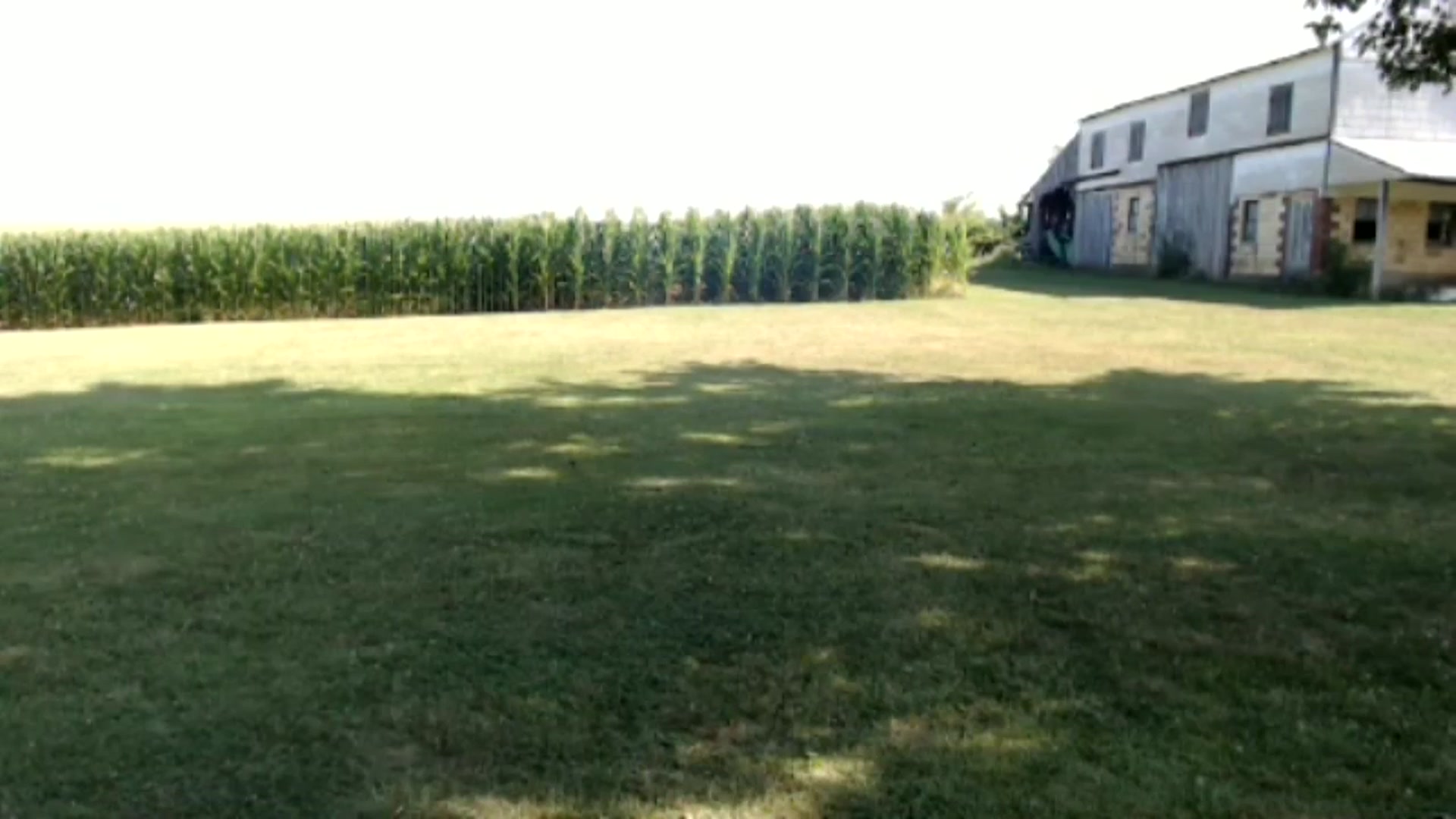 Gallery image thumbnail from FarmGirl_BDAY's myfreecams stream on, 07/13/2024, 15:34 image 10 of 20