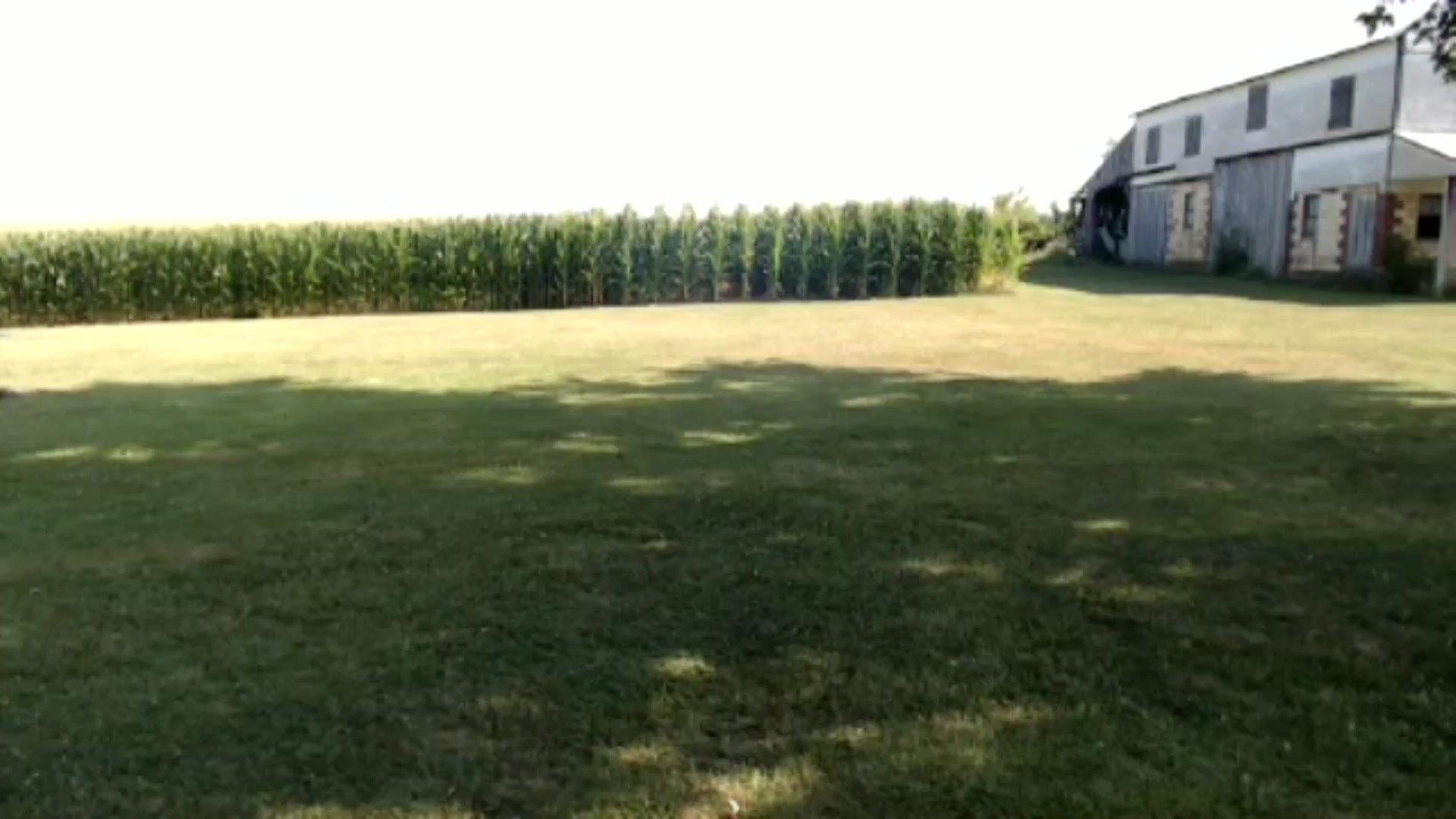 Gallery image thumbnail from FarmGirl_BDAY's myfreecams stream on, 07/13/2024, 15:34 image 9 of 20