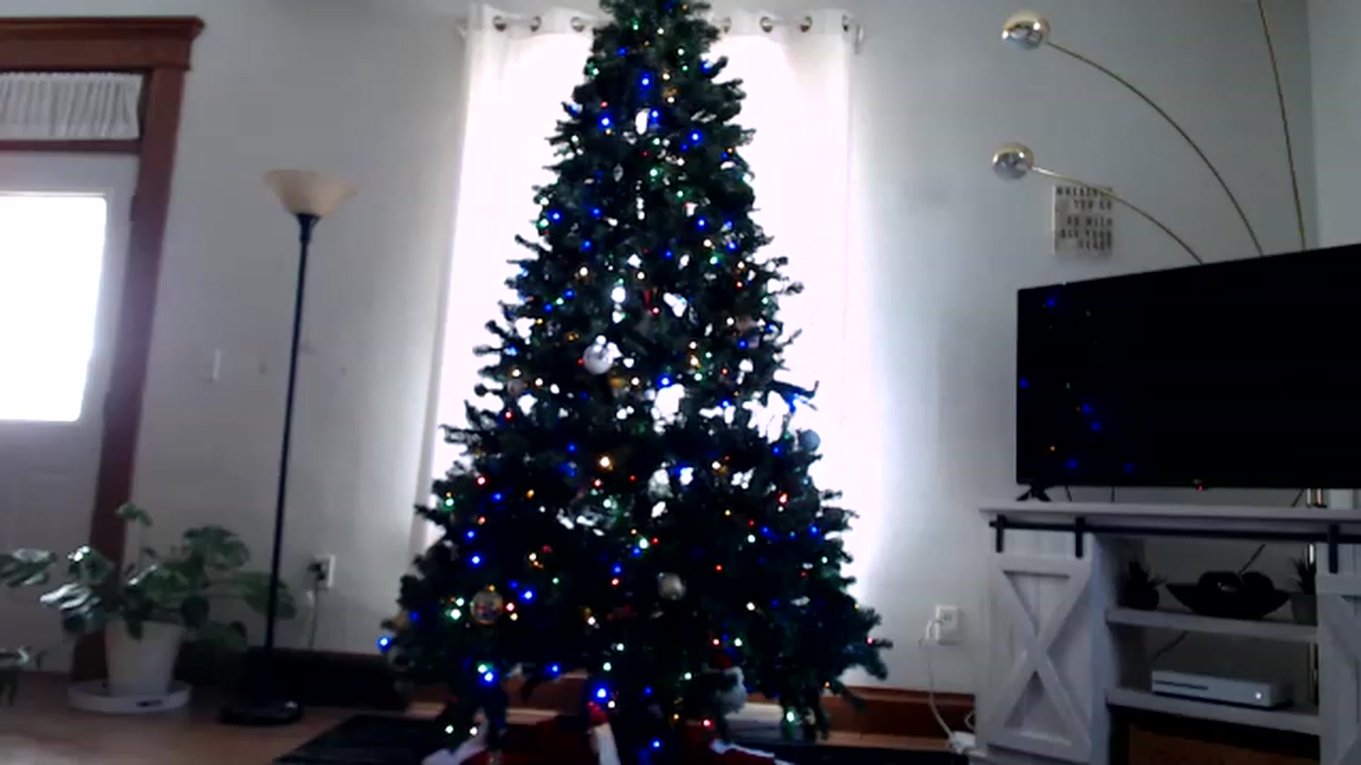 Gallery image thumbnail from FarmGirl__'s myfreecams stream on, 12/05/2022, 16:18 image 1 of 20