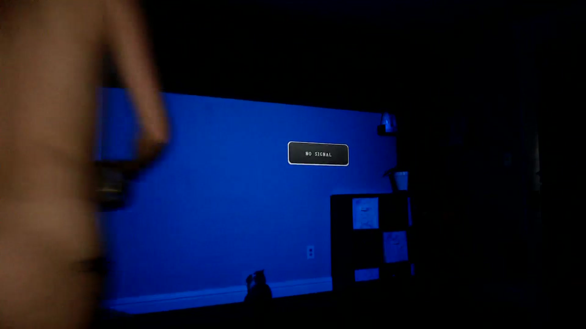 Gallery image thumbnail from FarmGirl__'s myfreecams stream on, 11/29/2023, 14:37 image 6 of 20