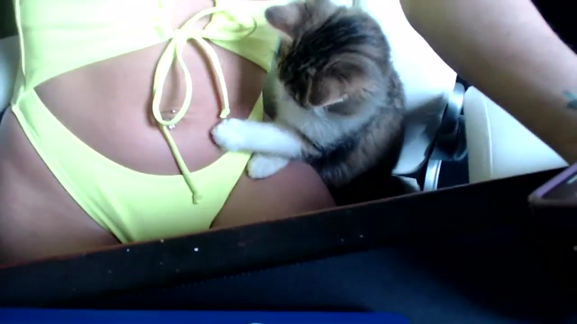 Gallery image thumbnail from FarmGirl__'s myfreecams stream on, 11/29/2023, 15:23 image 12 of 20