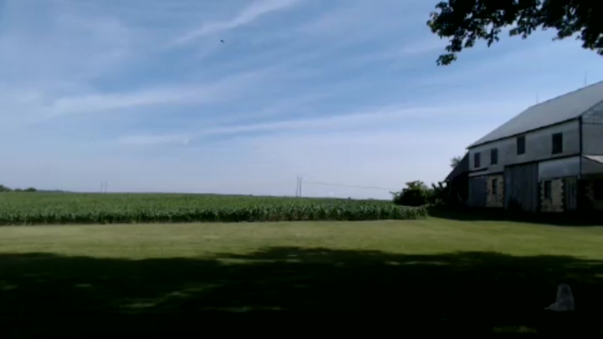 Gallery image thumbnail from FarmGirl__'s myfreecams stream on, 06/04/2024, 15:01 image 2 of 20