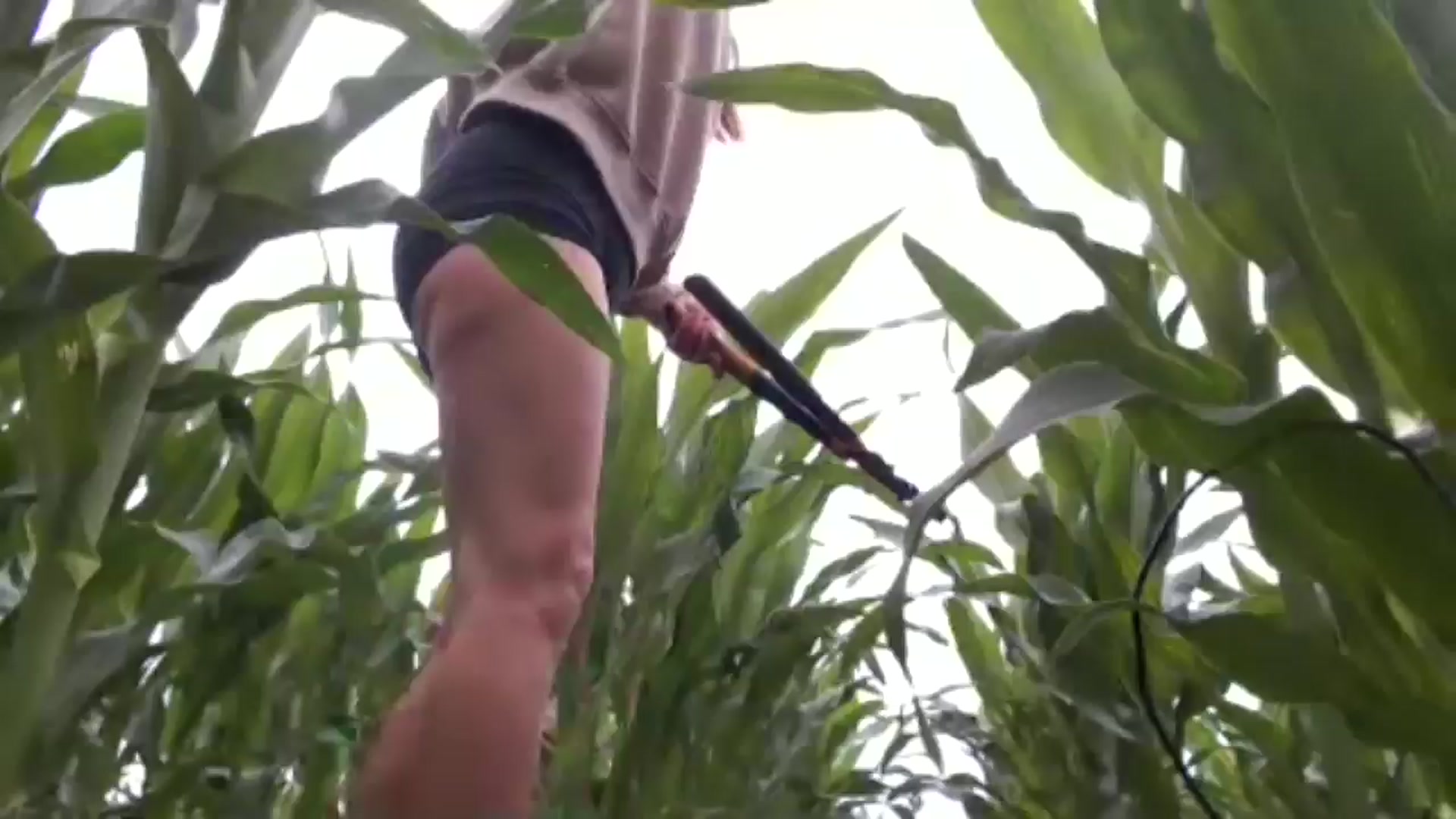 Gallery image thumbnail from FarmGirl__'s myfreecams stream on, 06/10/2024, 15:40 image 17 of 20