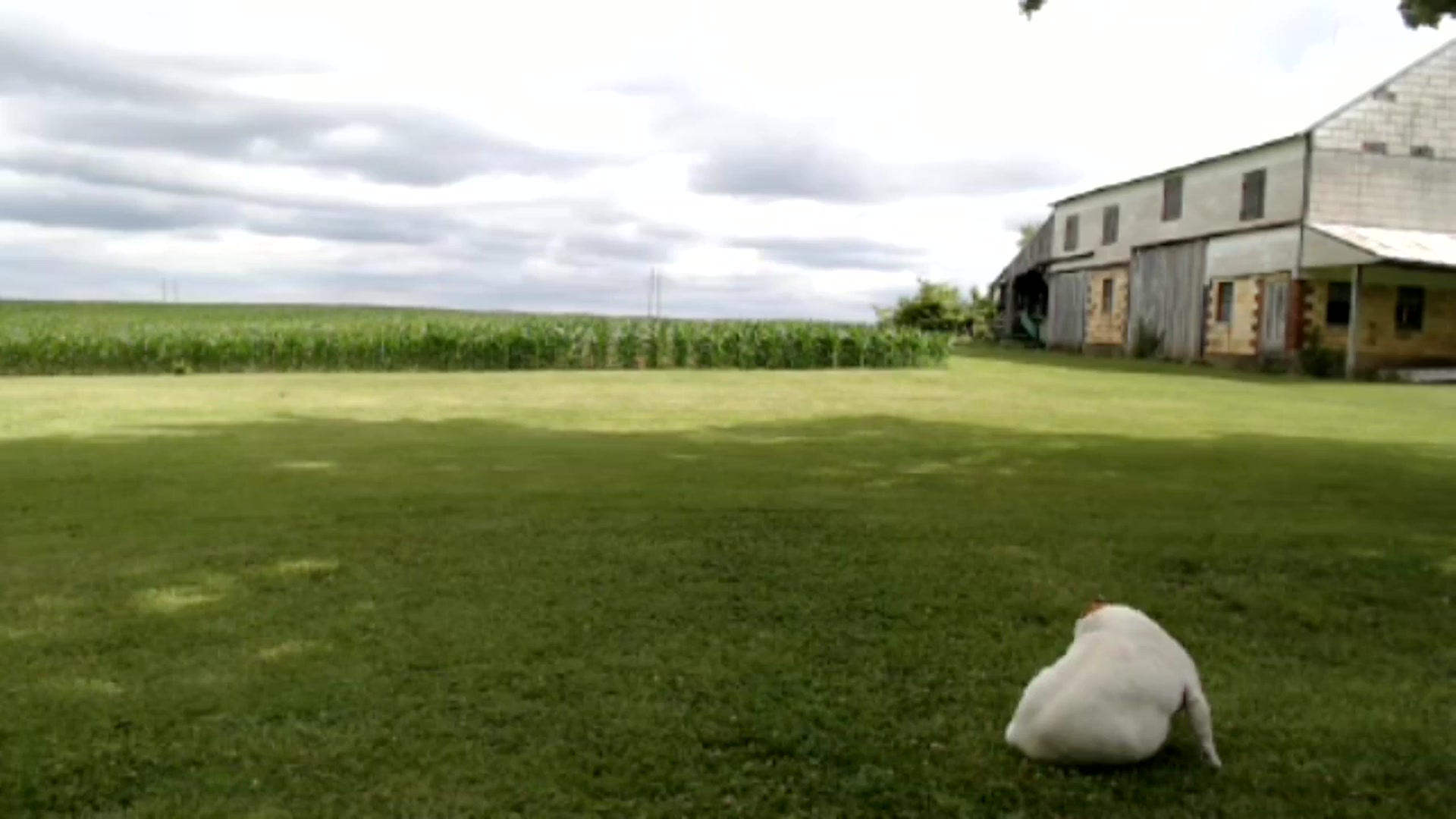 Gallery image thumbnail from FarmGirl__'s myfreecams stream on, 06/10/2024, 15:40 image 7 of 20