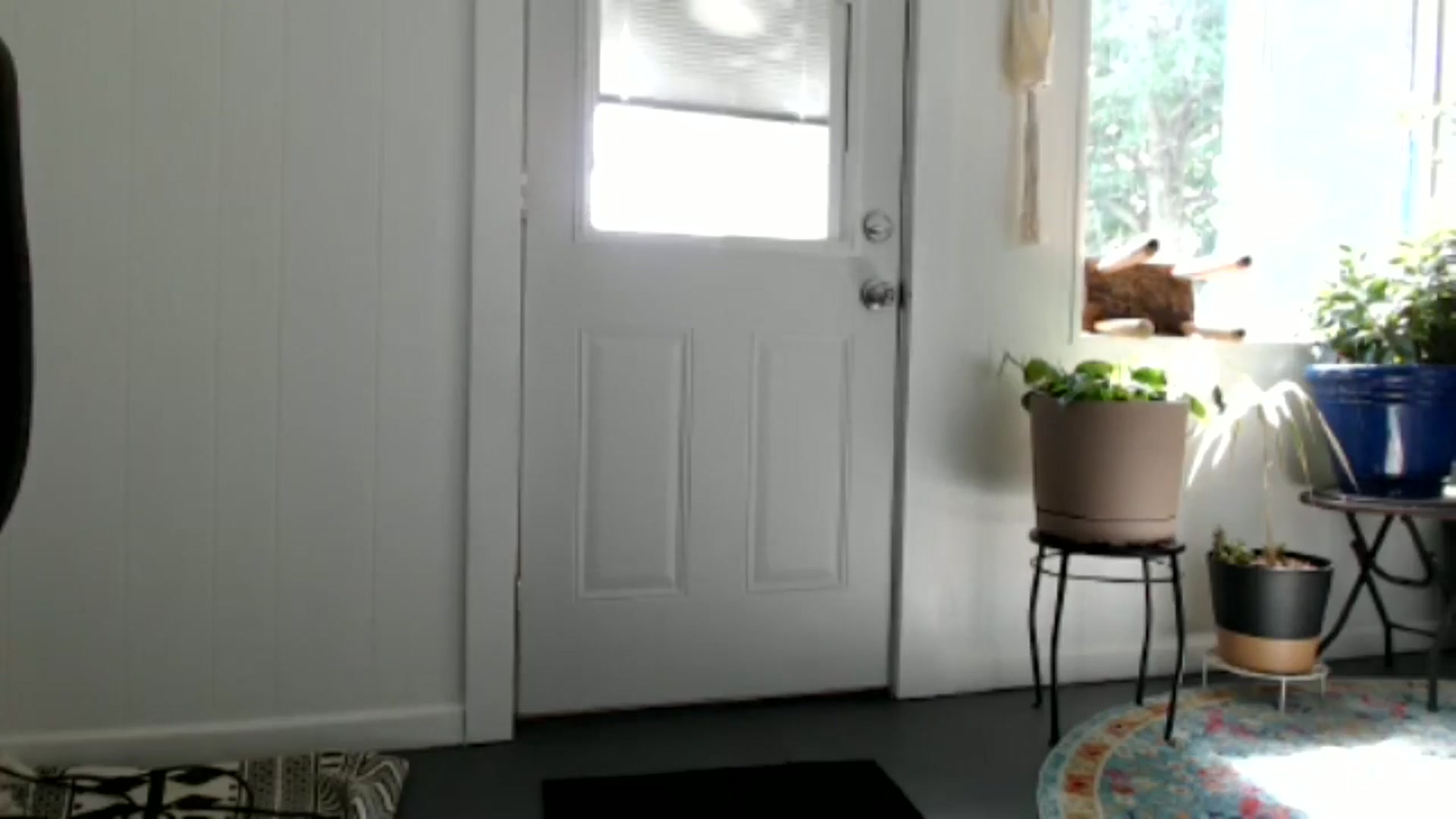 Gallery image thumbnail from FarmGirl__'s myfreecams stream on, 06/11/2024, 15:20 image 19 of 20