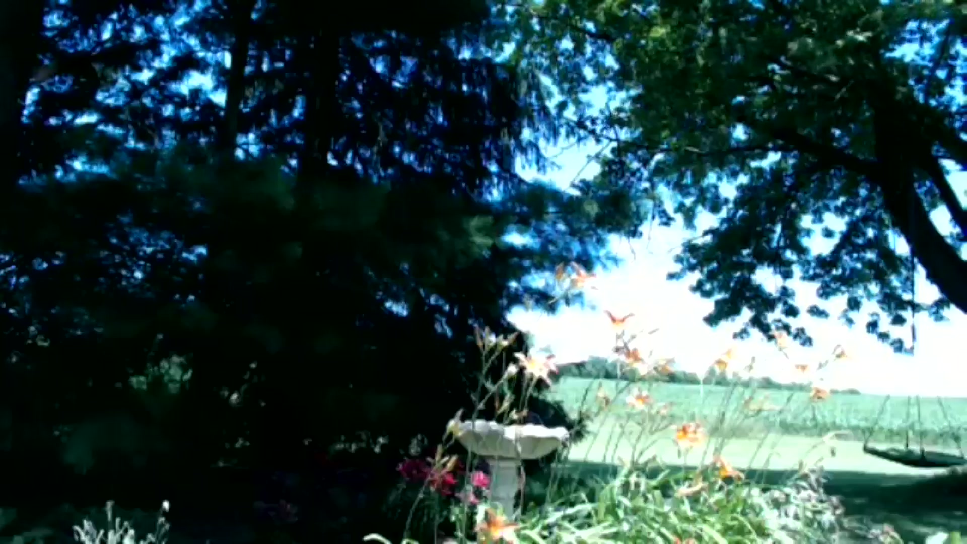 Gallery image thumbnail from FarmGirl__'s myfreecams stream on, 06/12/2024, 17:38 image 11 of 20