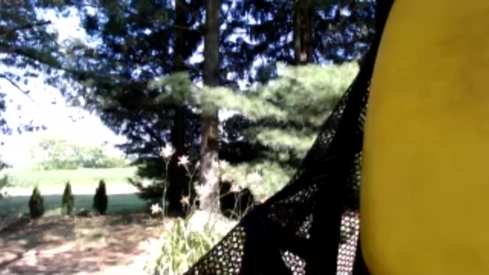 Gallery image thumbnail from FarmGirl__'s myfreecams stream on, 06/13/2024, 14:38 image 16 of 20