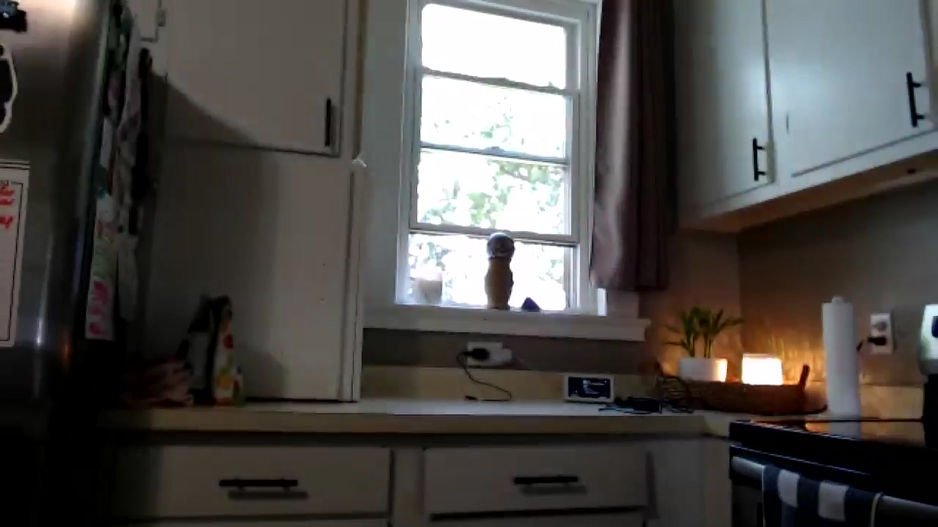 Gallery image thumbnail from FarmGirl__'s myfreecams stream on, 06/16/2024, 15:56 image 18 of 20
